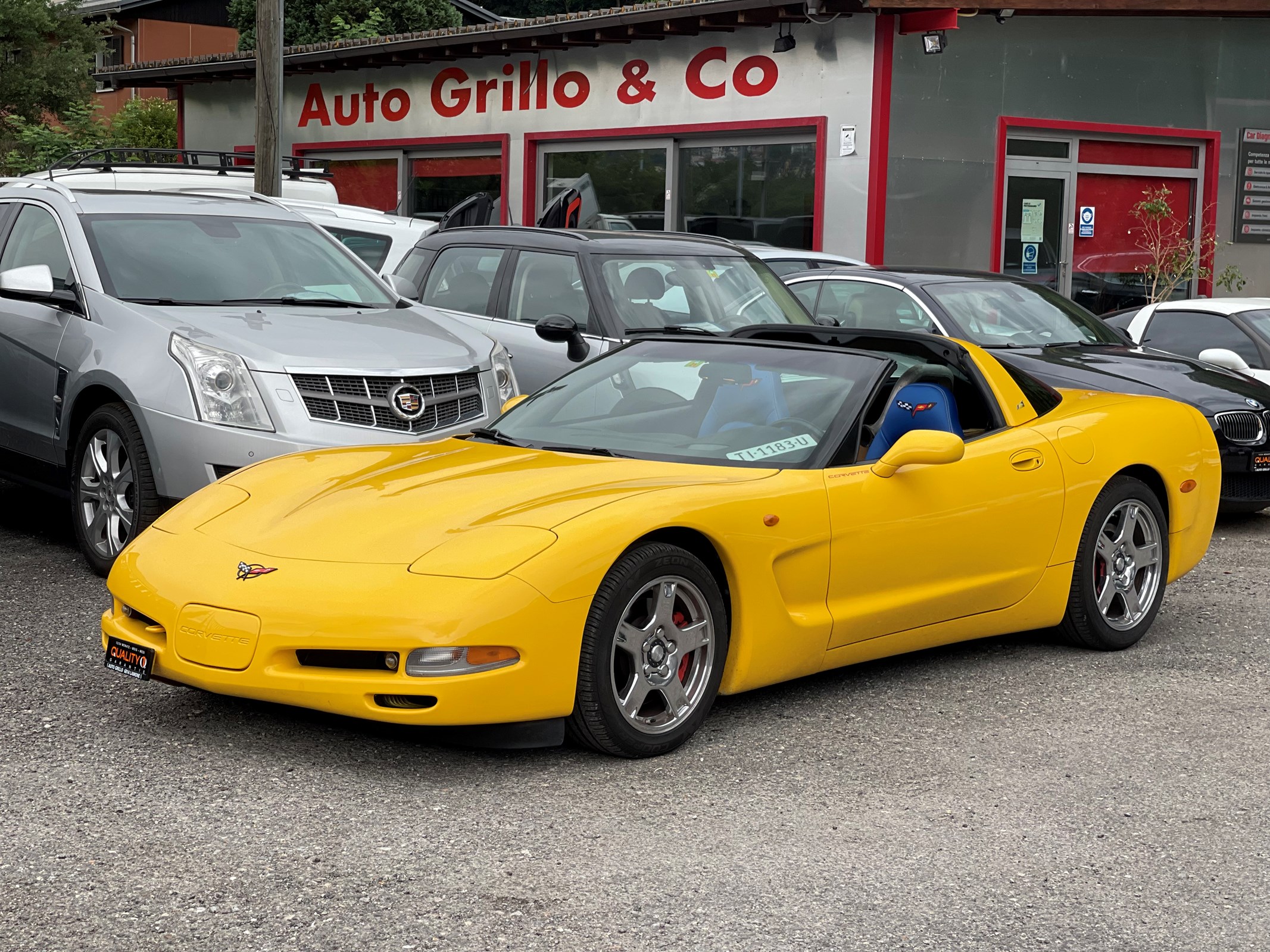 Car photo
