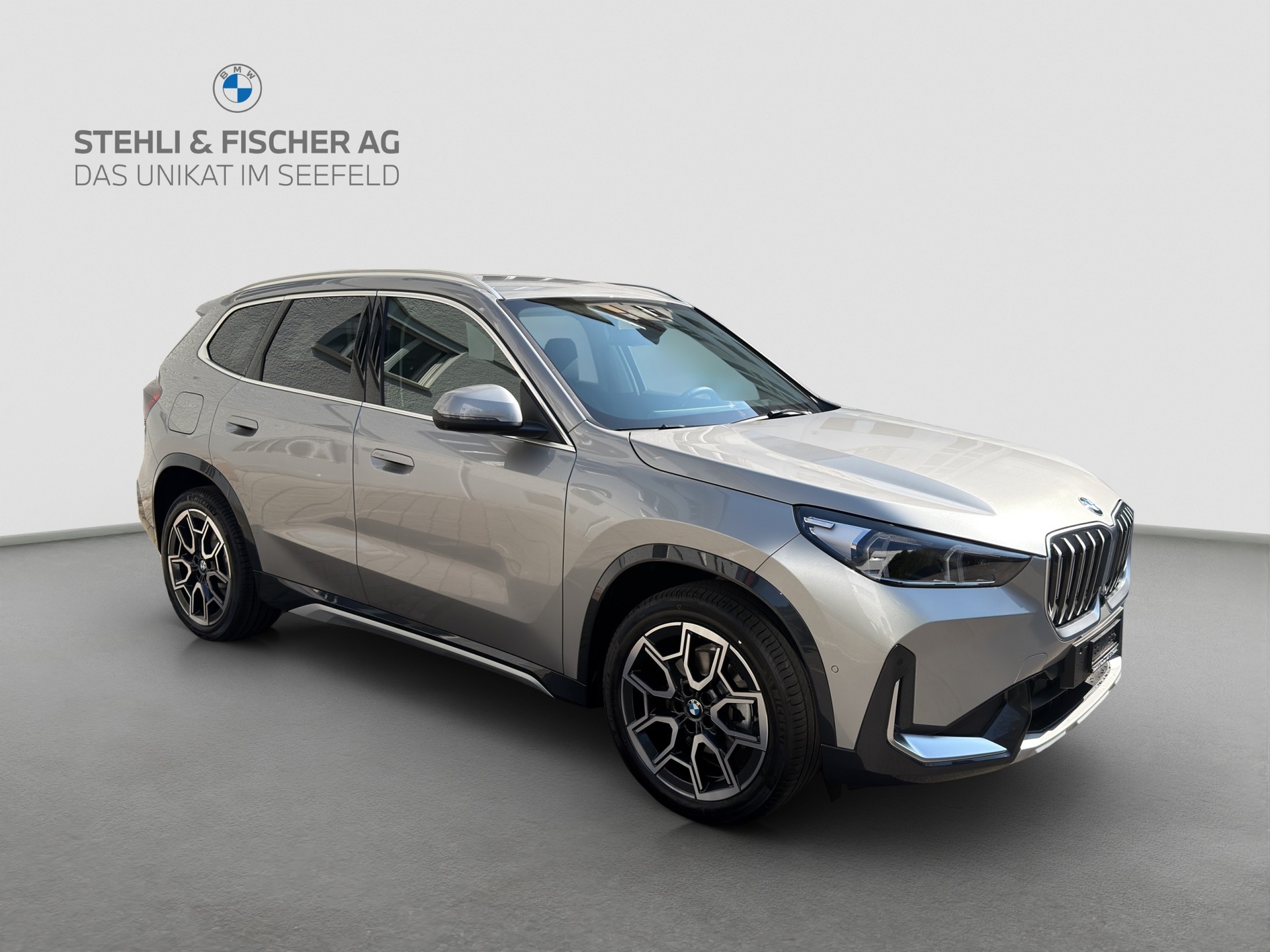 BMW X1 xDrive 20d 48V xLine-showroom-element-3