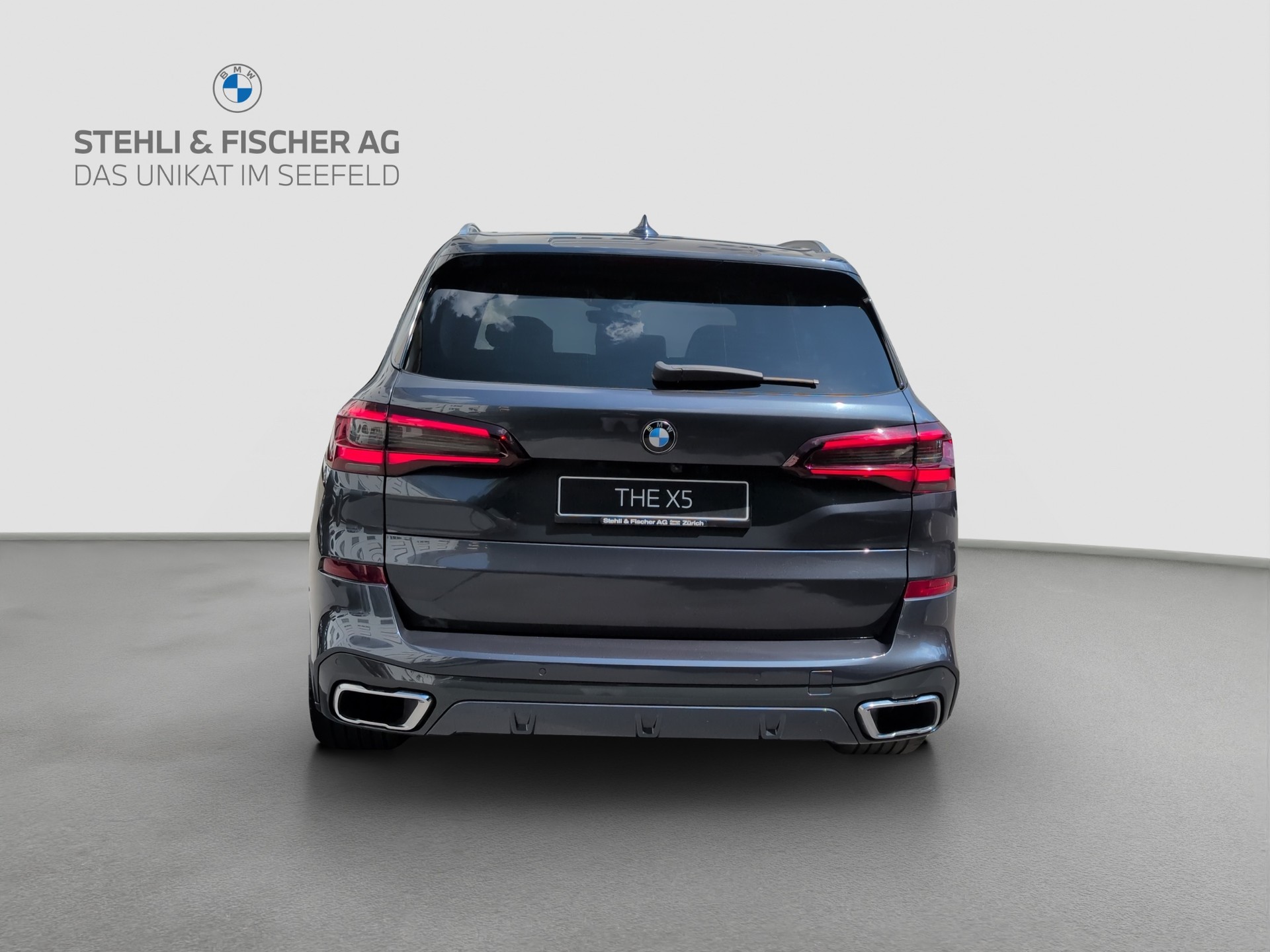 BMW X5 xDrive 40i M Sport Steptronic-image-3