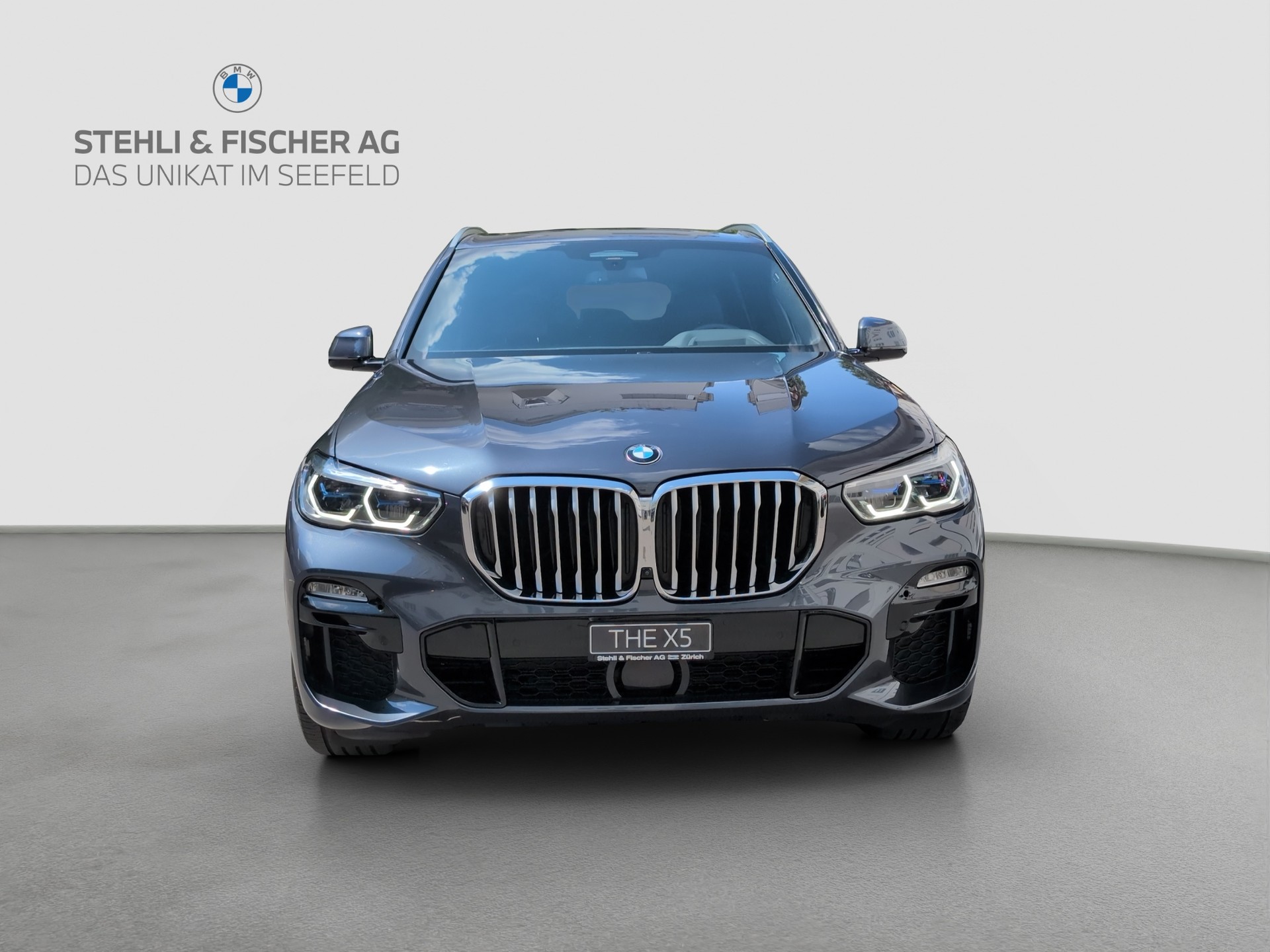 BMW X5 xDrive 40i M Sport Steptronic-image-2