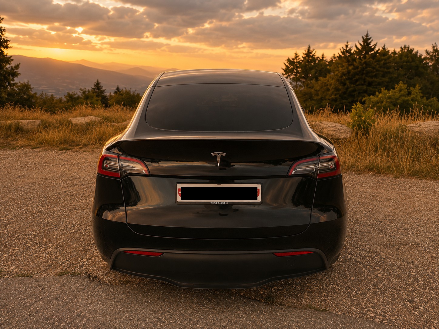 TESLA Basis-image-2