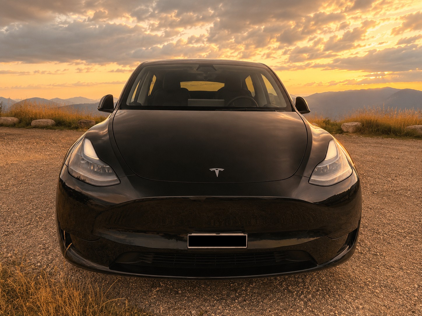 TESLA Basis-image-1