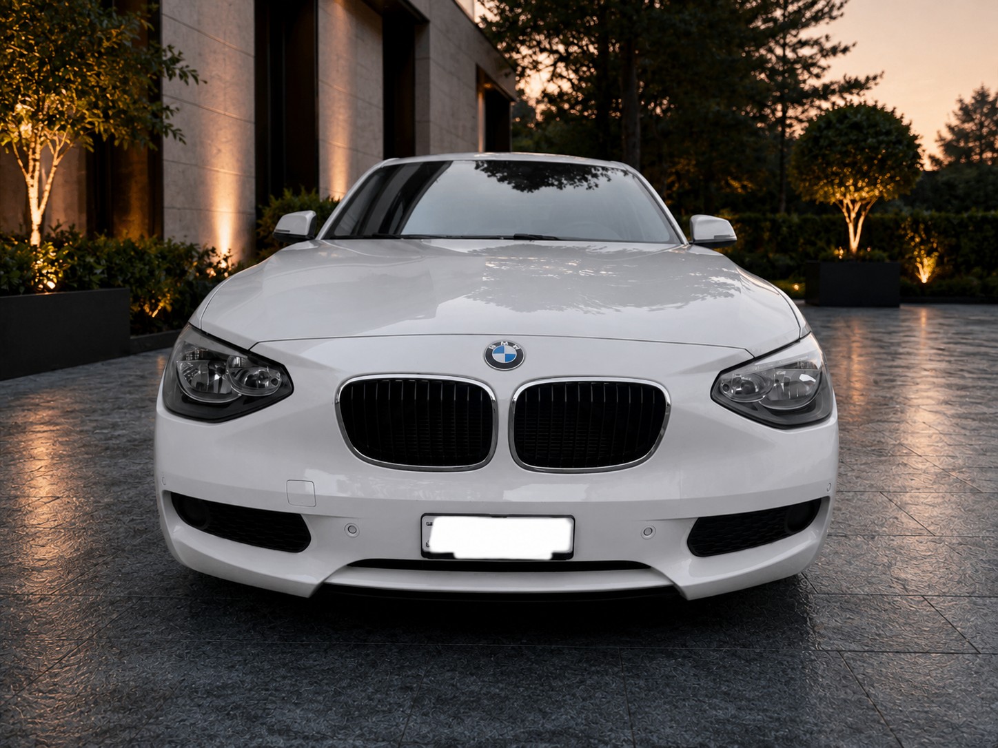 BMW 114i Business-image-1