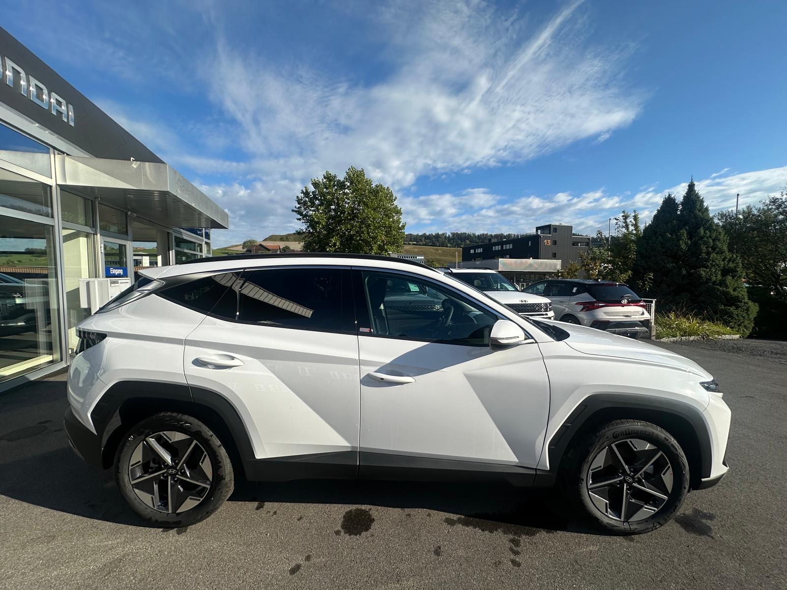 HYUNDAI Tucson 1.6 TGDI HEV Amplia 4WD-image-8