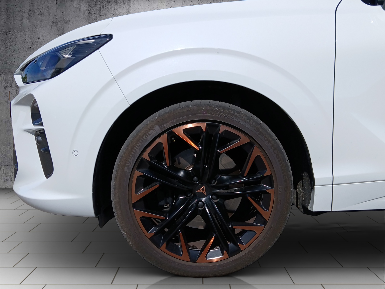 CUPRA Terramar 2.0 TSI DSG 4Drive VZ-image-14