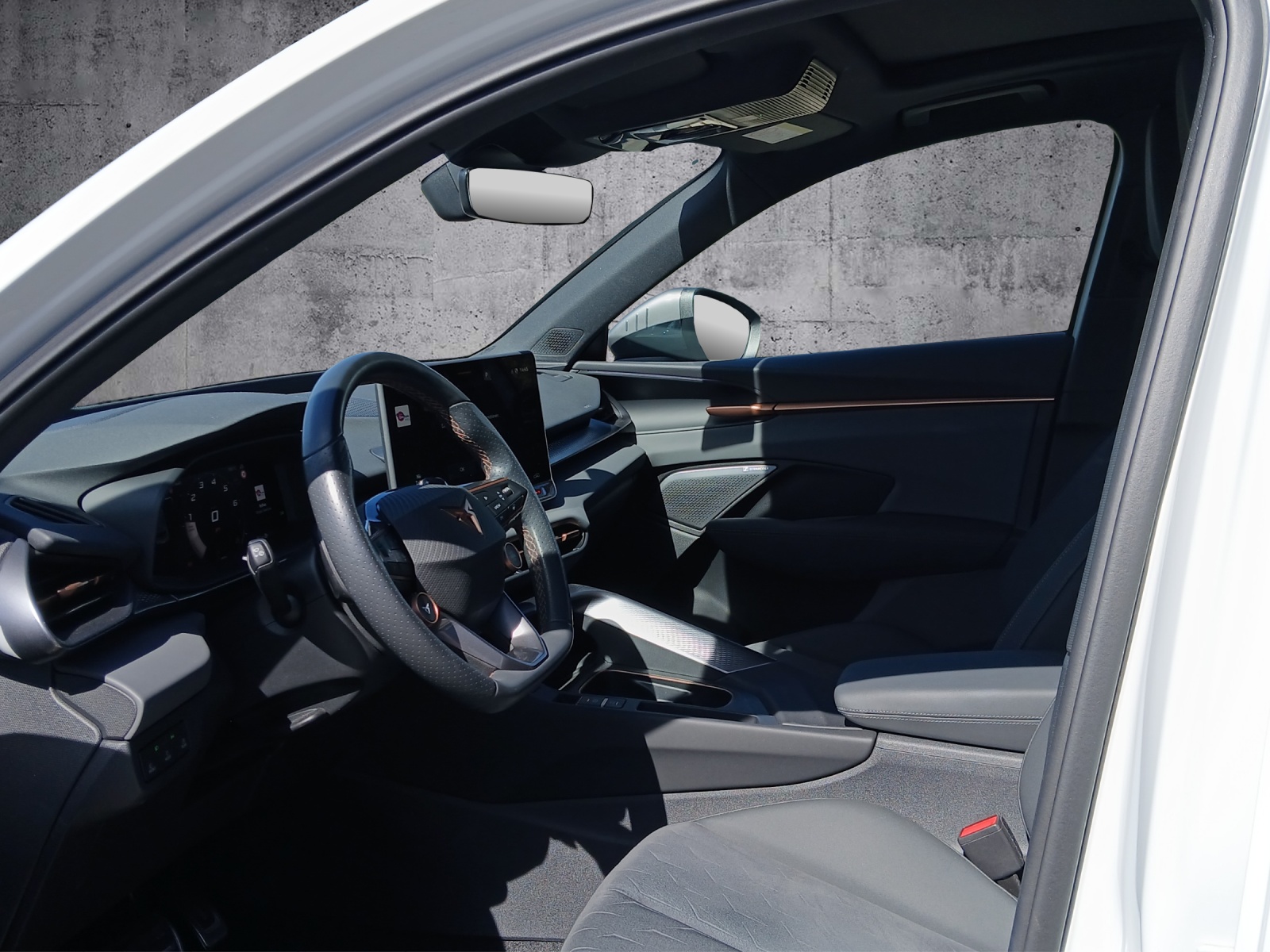CUPRA Terramar 2.0 TSI DSG 4Drive VZ-image-3