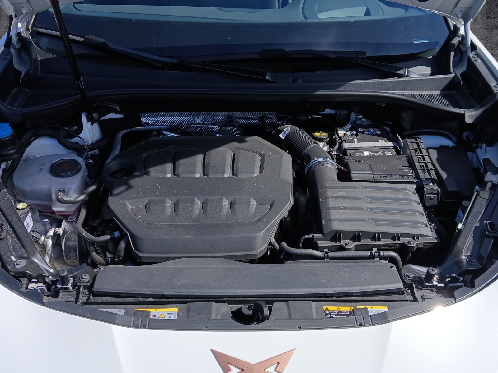 CUPRA Terramar 2.0 TSI DSG 4Drive VZ-image-15