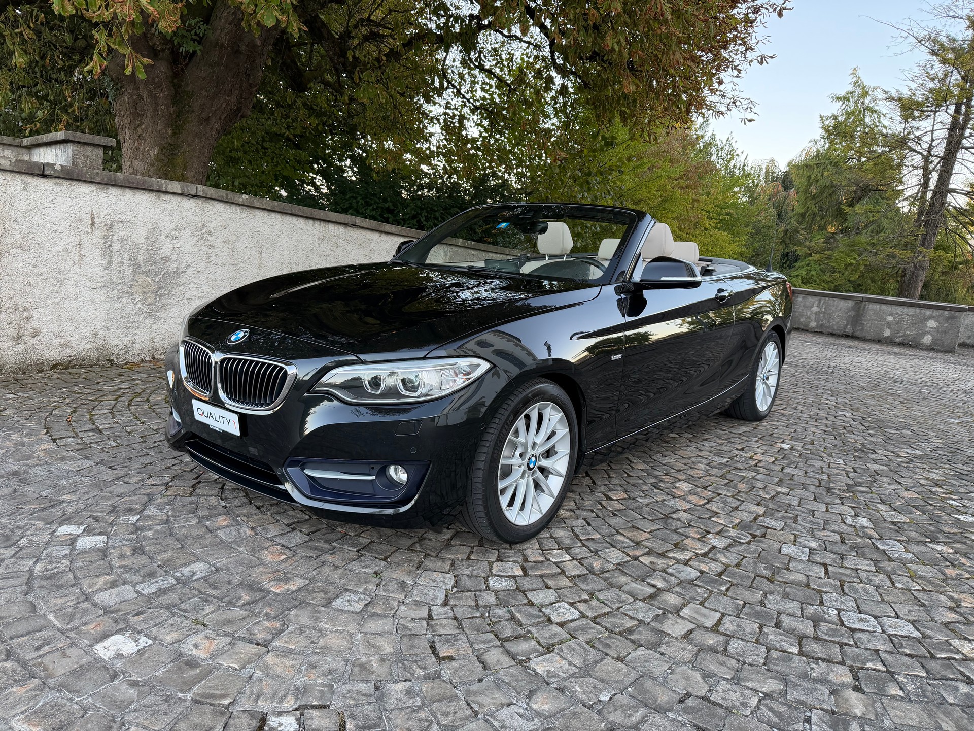 BMW 220d Luxury Line Steptronic / Frisch ab MFK / Service gepflegt bei BMW / 36 Monate Garantie exkl. / Leder / Navi / Xenon