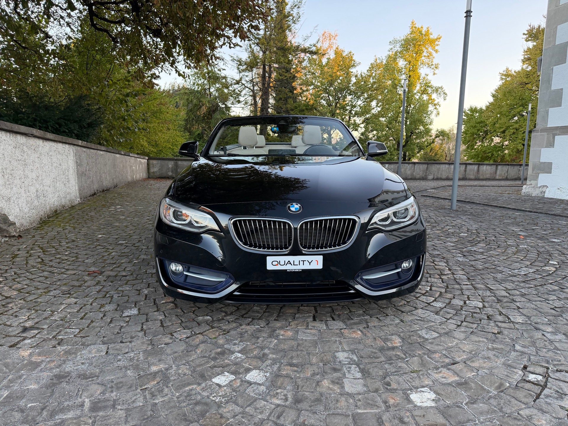 BMW 220d Luxury Line Steptronic / Frisch ab MFK / Service gepflegt bei BMW / 36 Monate Garantie exkl. / Leder / Navi / Xenon-image-1