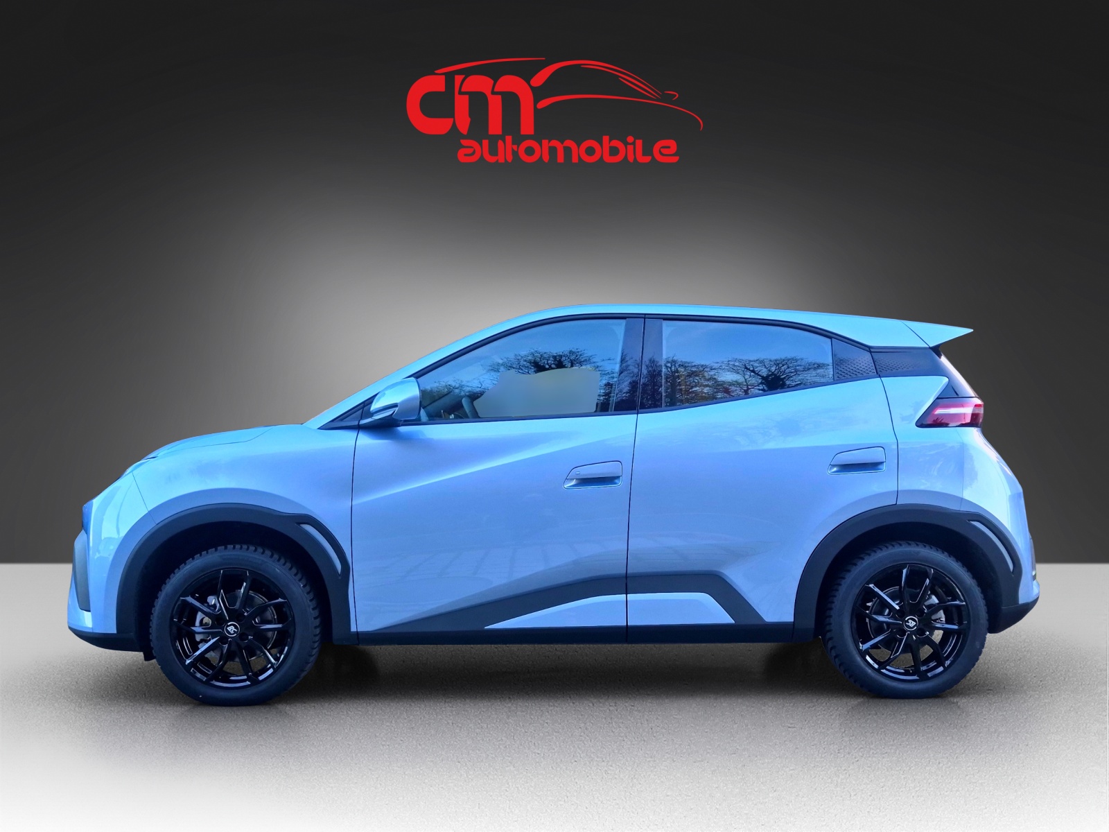 BYD Dolphin Surf 30 kWh Active-image-1