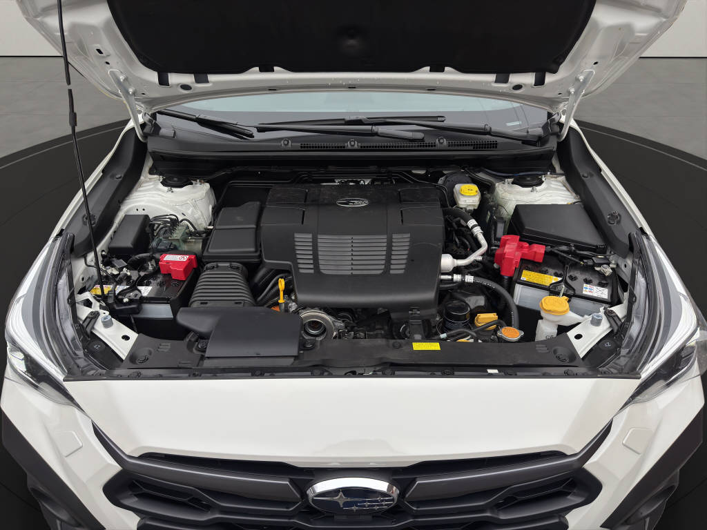 SUBARU Crosstrek 2.0i e-Boxer Swiss Plus * 8-fach bereift, 5 Jahre / 150000km Garantie*-image-19