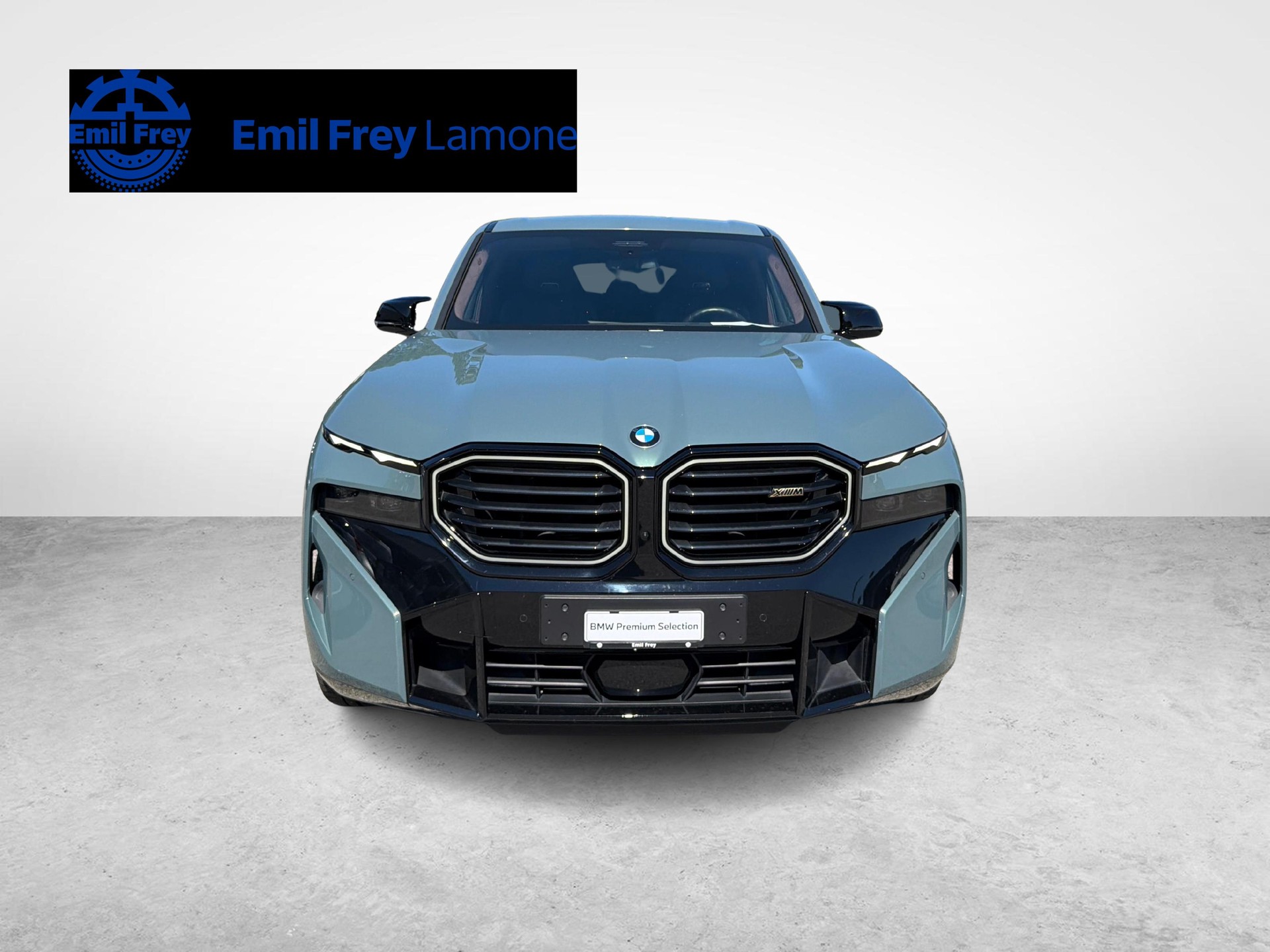 BMW XM Plug-in Hybrid-image-8