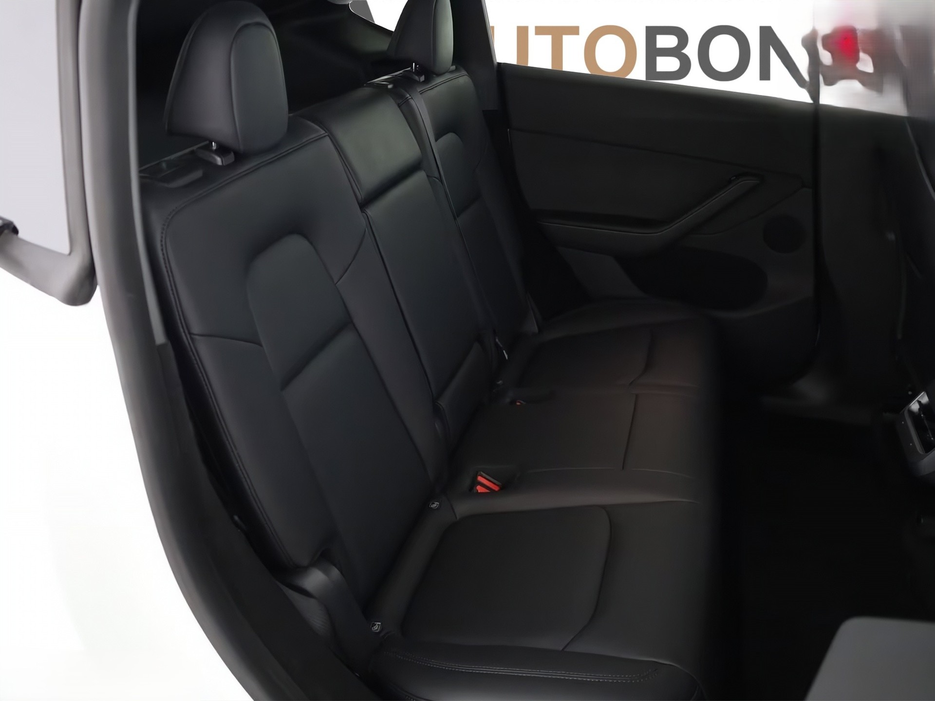 TESLA Model Y Performance D Anhängerkupplung-image-20