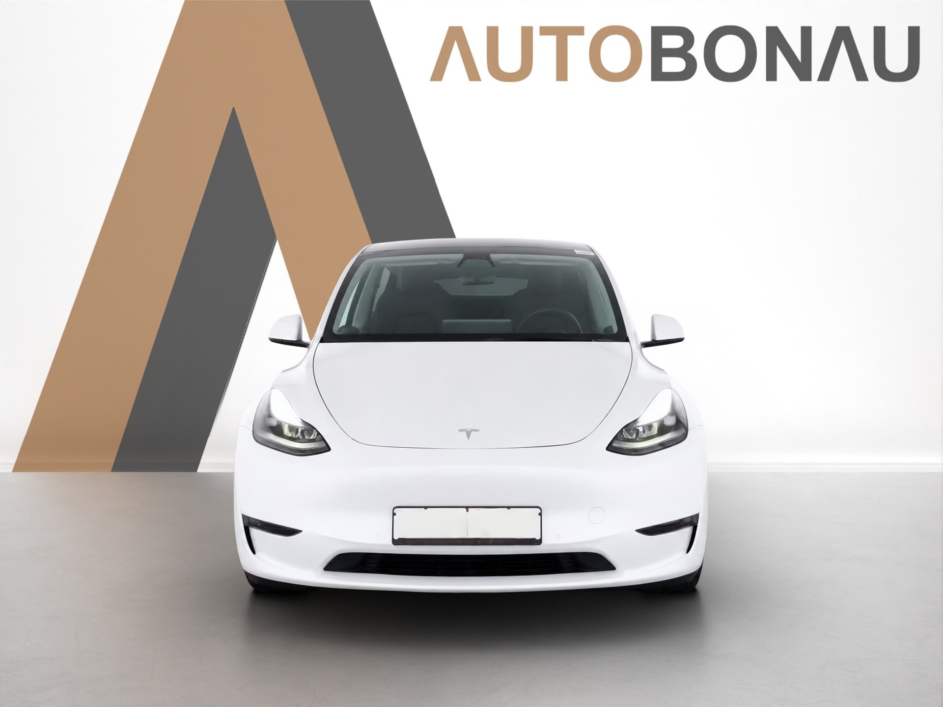 TESLA Model Y Performance D Anhängerkupplung-image-7