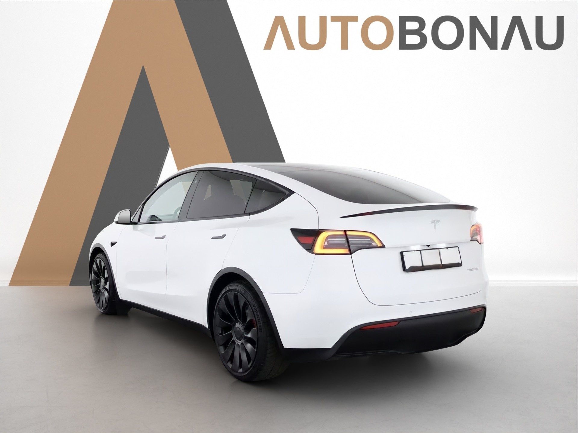 TESLA Model Y Performance D Anhängerkupplung-image-2