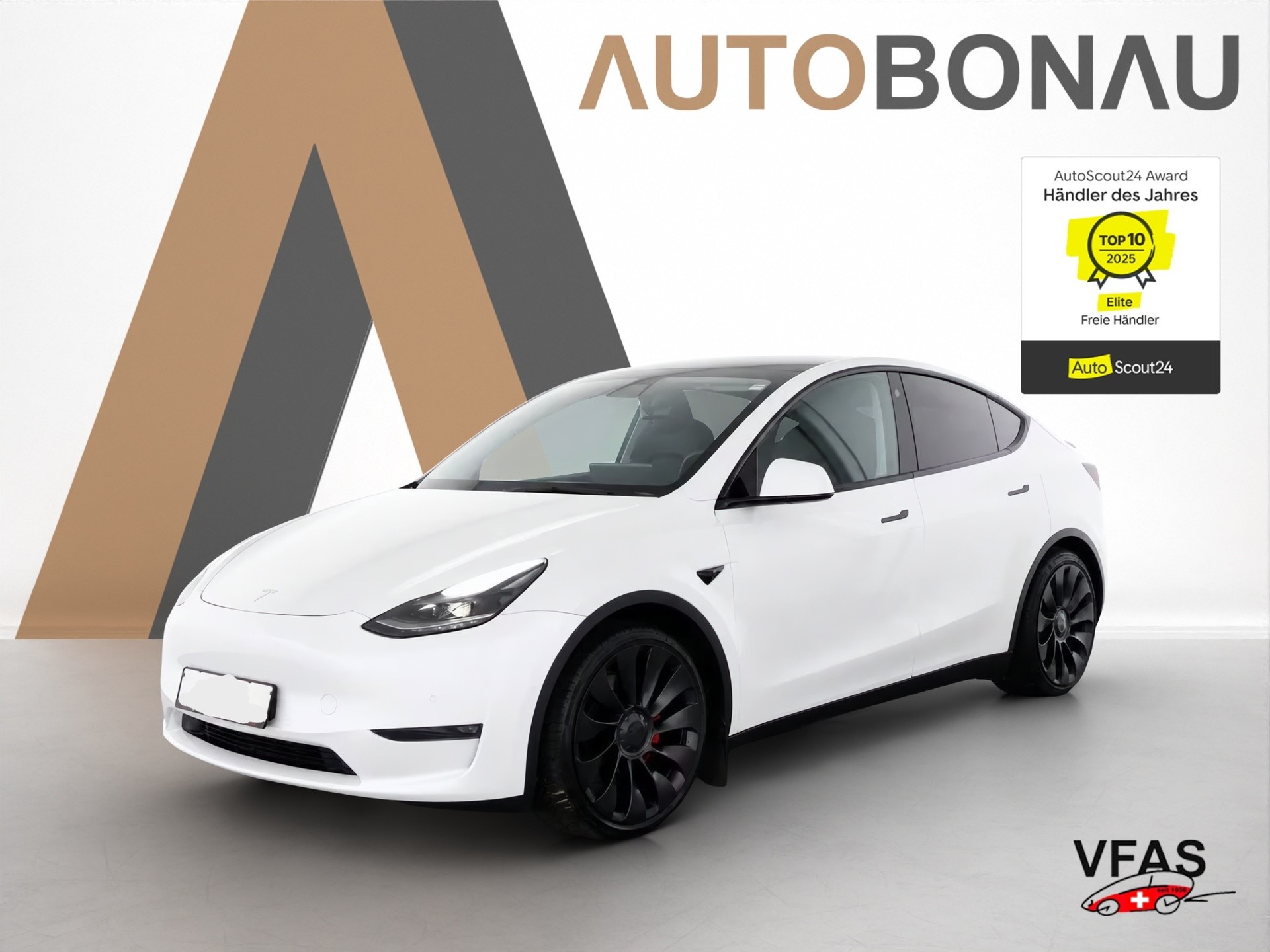 TESLA Model Y Performance D Anhängerkupplung-image-11