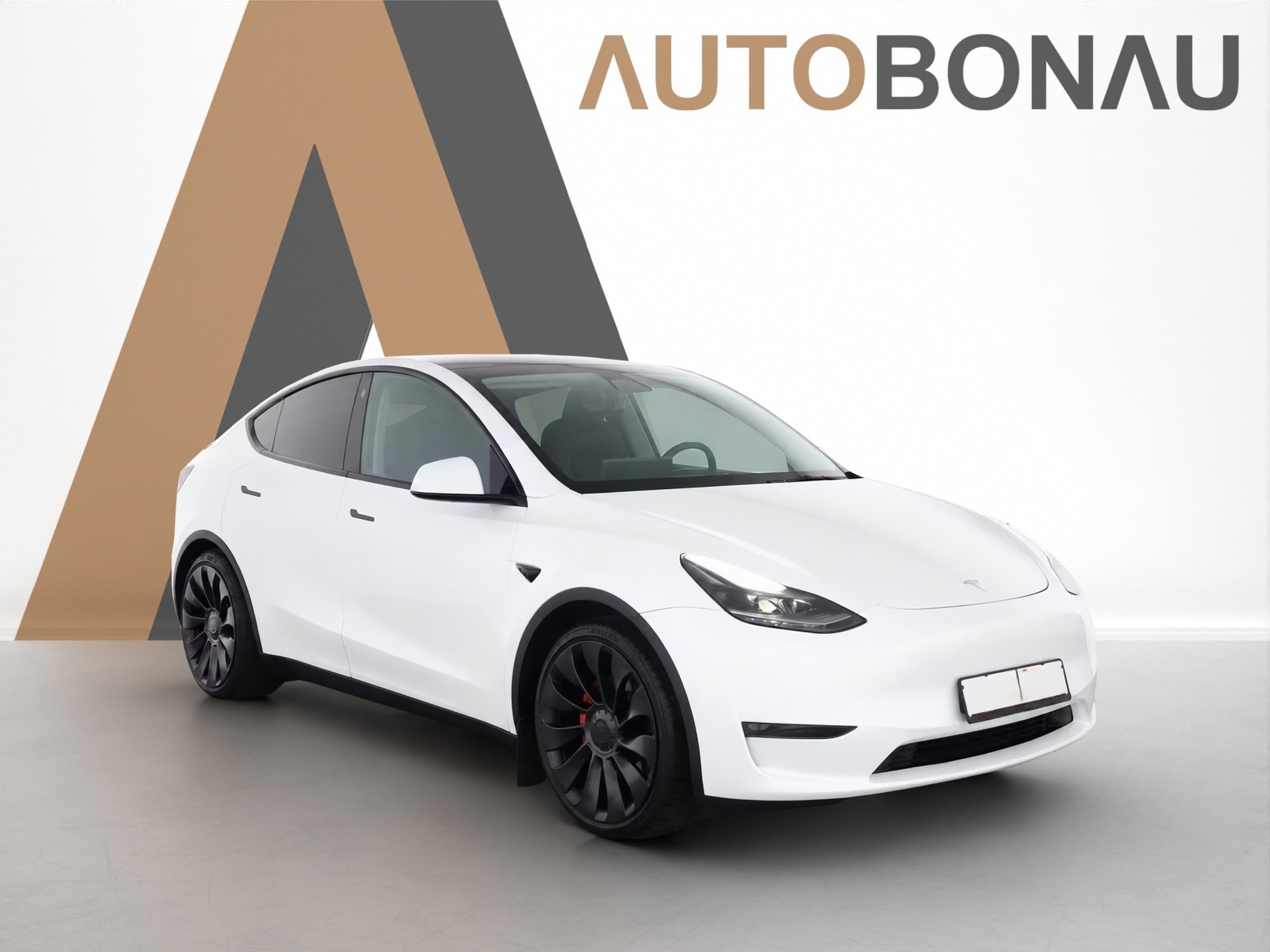 TESLA Model Y Performance D Anhängerkupplung-image-6