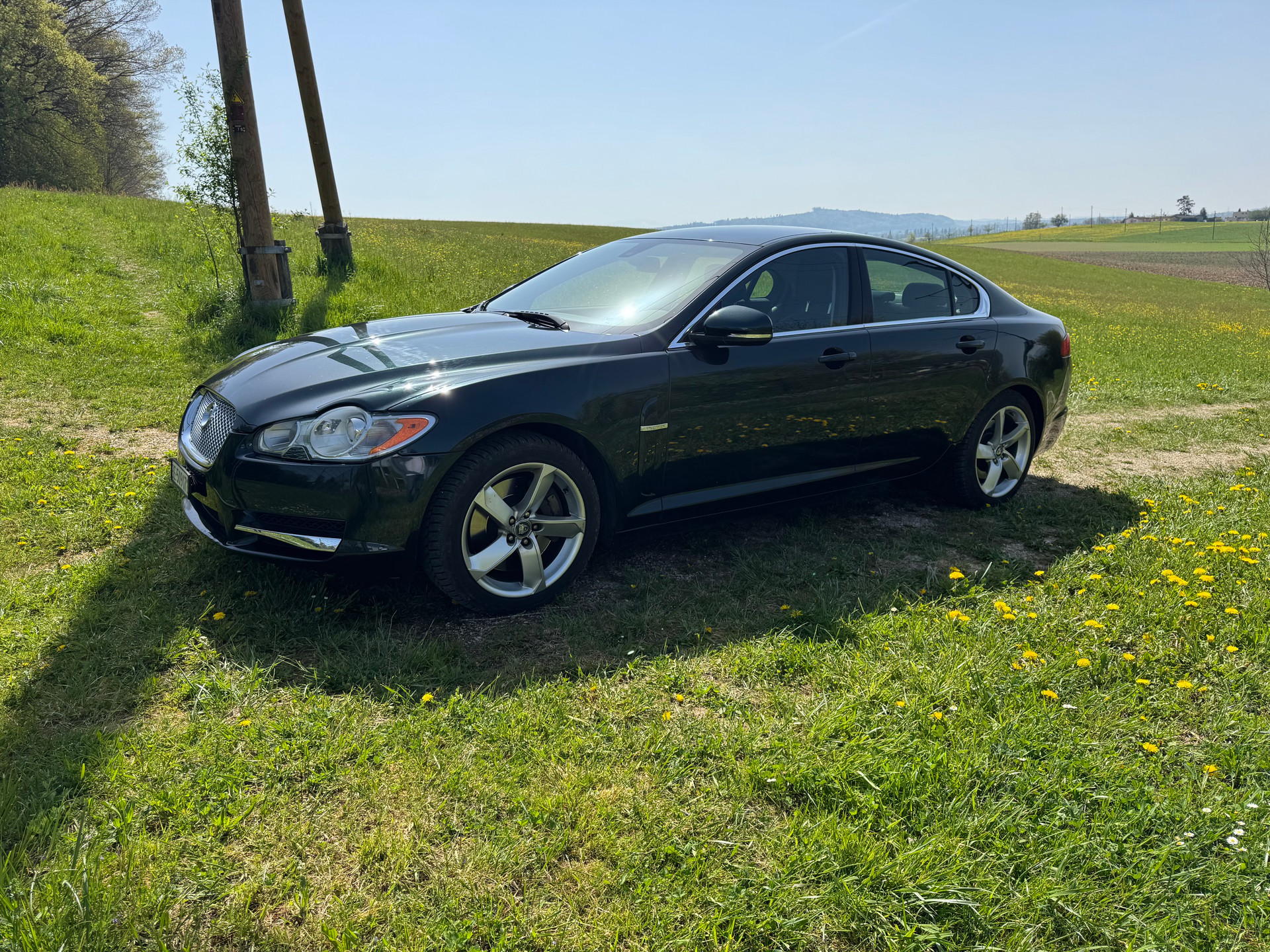 JAGUAR 3.0 V6 D Luxury-image-2