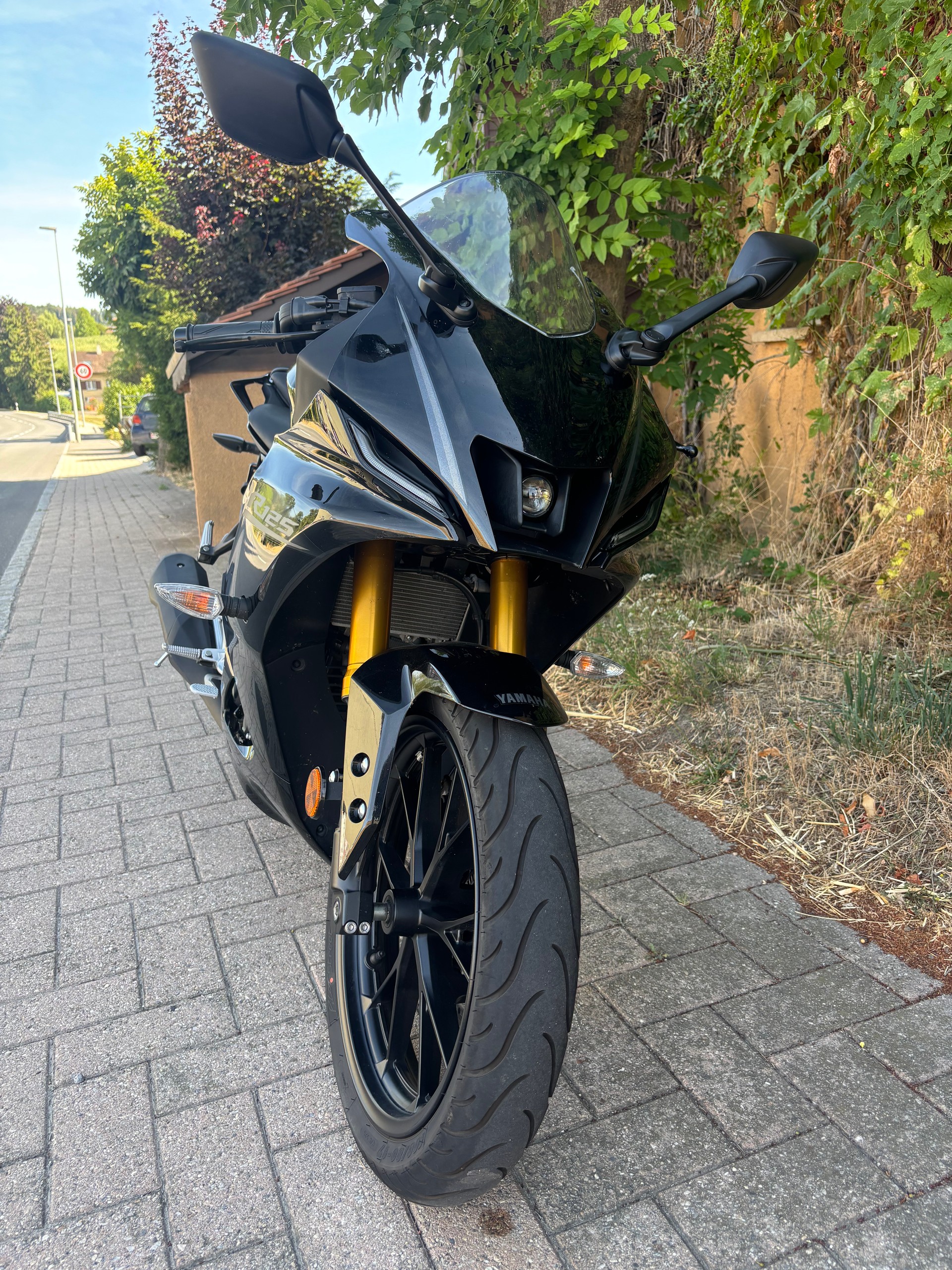 YAMAHA YZF-R 125 ABS-image-2