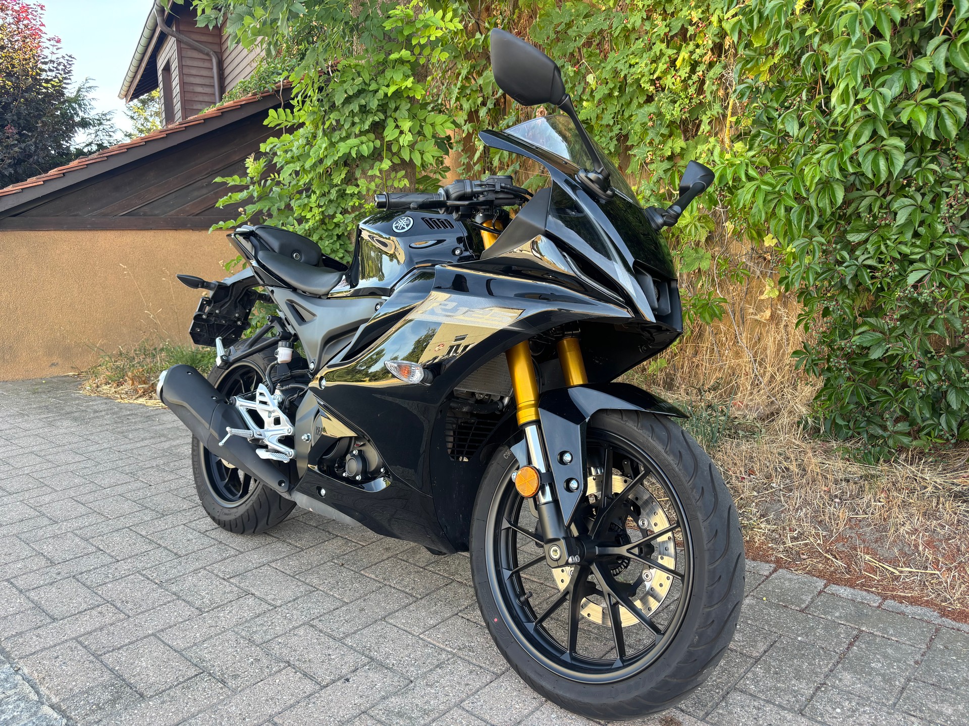 YAMAHA YZF-R 125 ABS-image-1