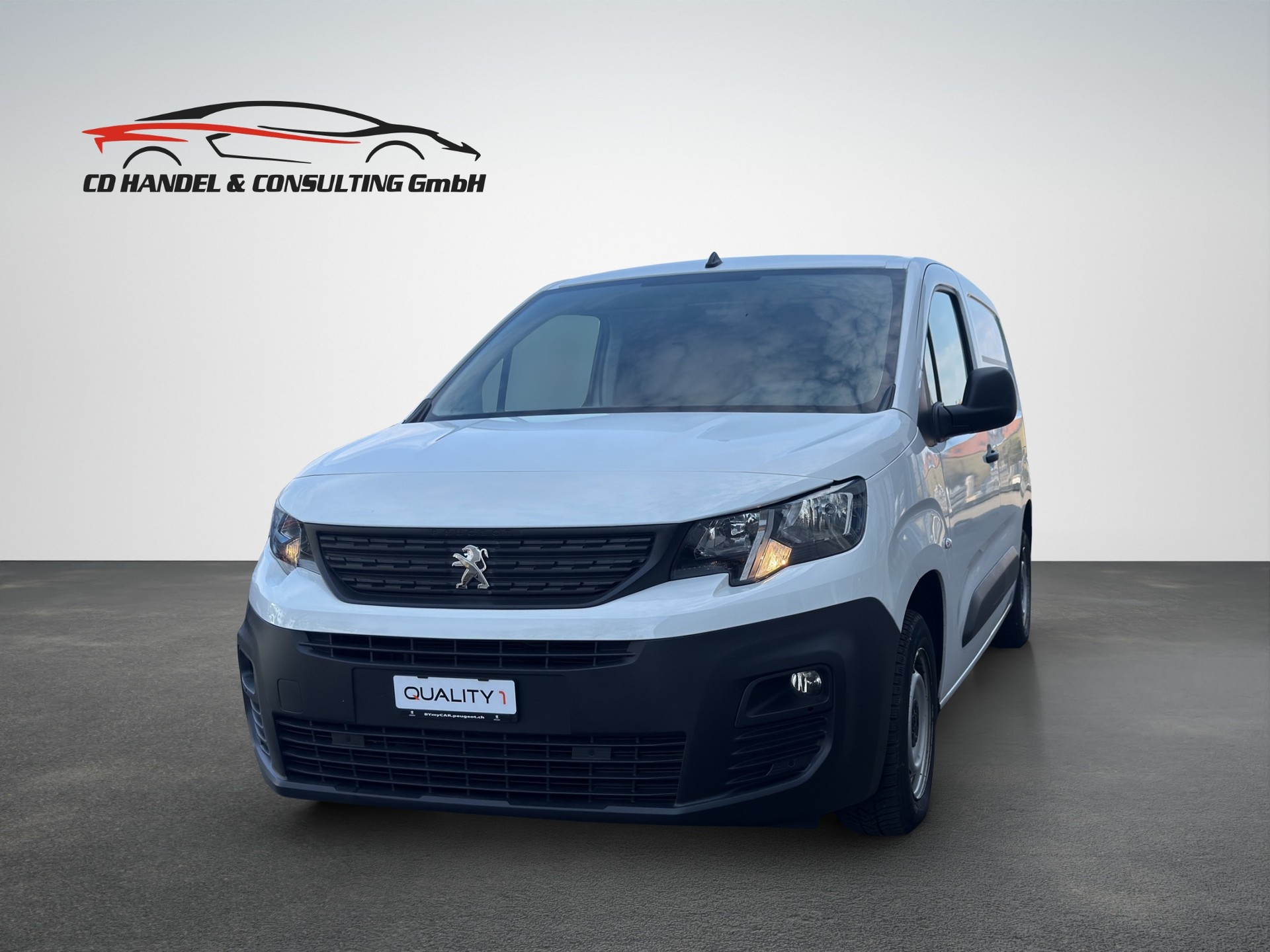 PEUGEOT 1.6 Blue HDi Pro L1 650kg-image-2