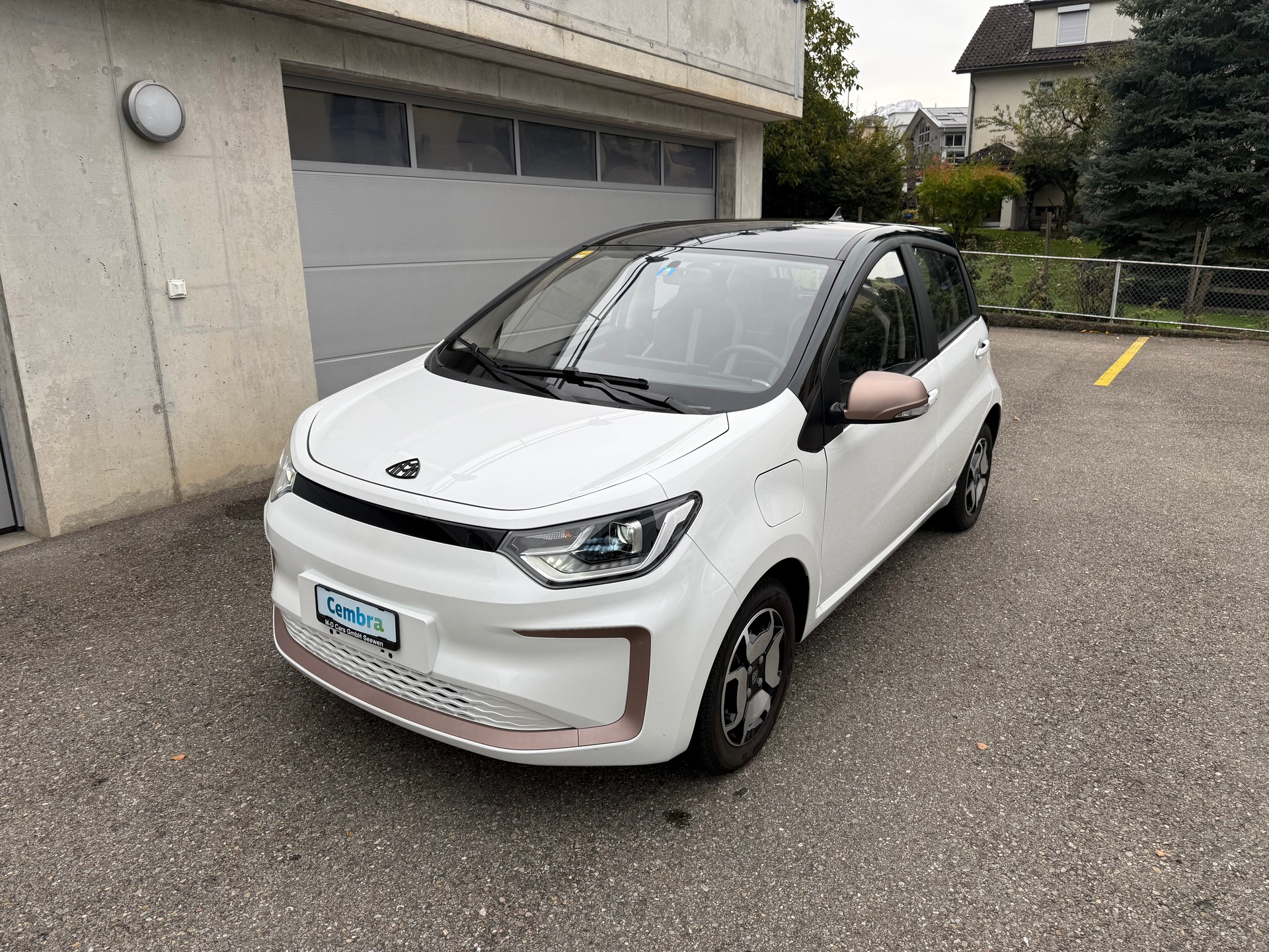 JAC e-JS1-image-7