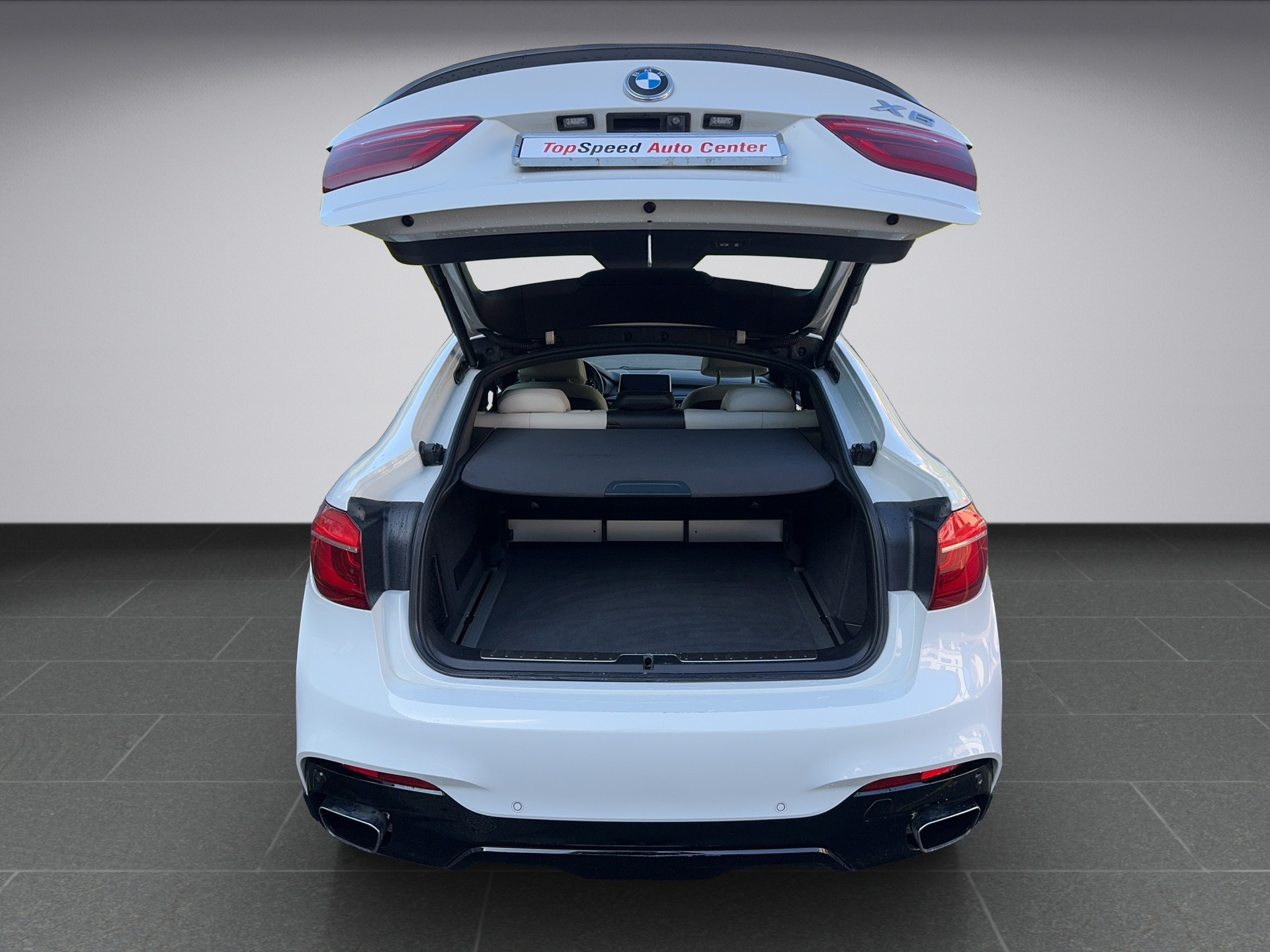 BMW X6 xDrive 50i Steptronic-image-15