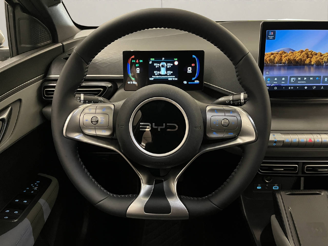 BYD Dolphin Surf Comfort CH FAHRZEUG-image-8