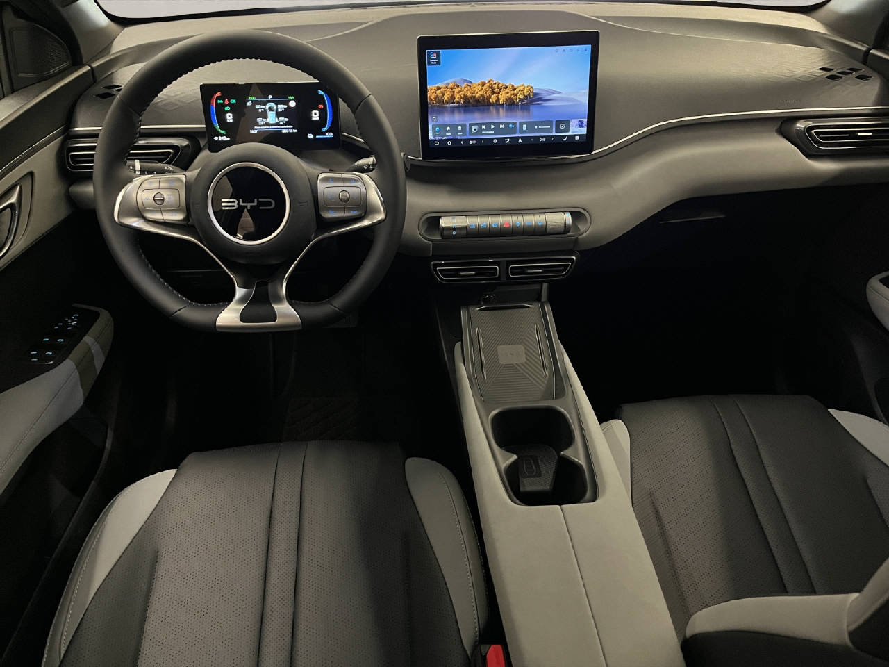 BYD Dolphin Surf Comfort CH FAHRZEUG-image-7