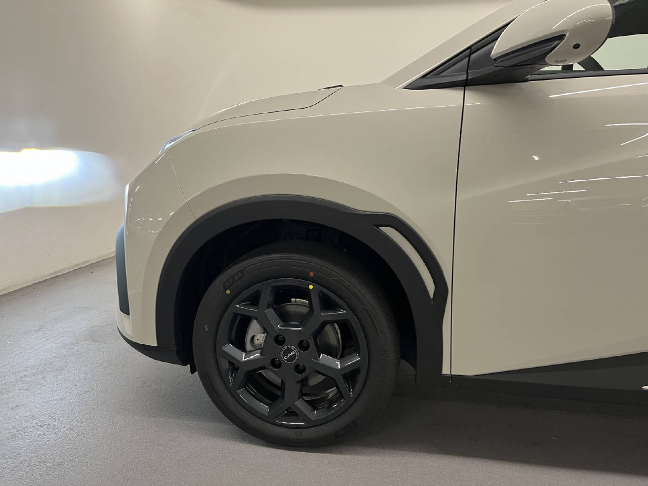 BYD Dolphin Surf Comfort CH FAHRZEUG-image-15