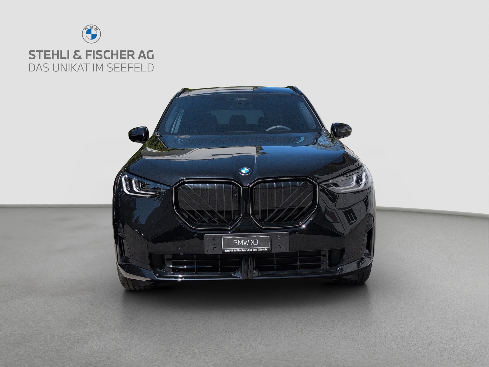 BMW X3 xDrive 30e M Sport Pro-image-2