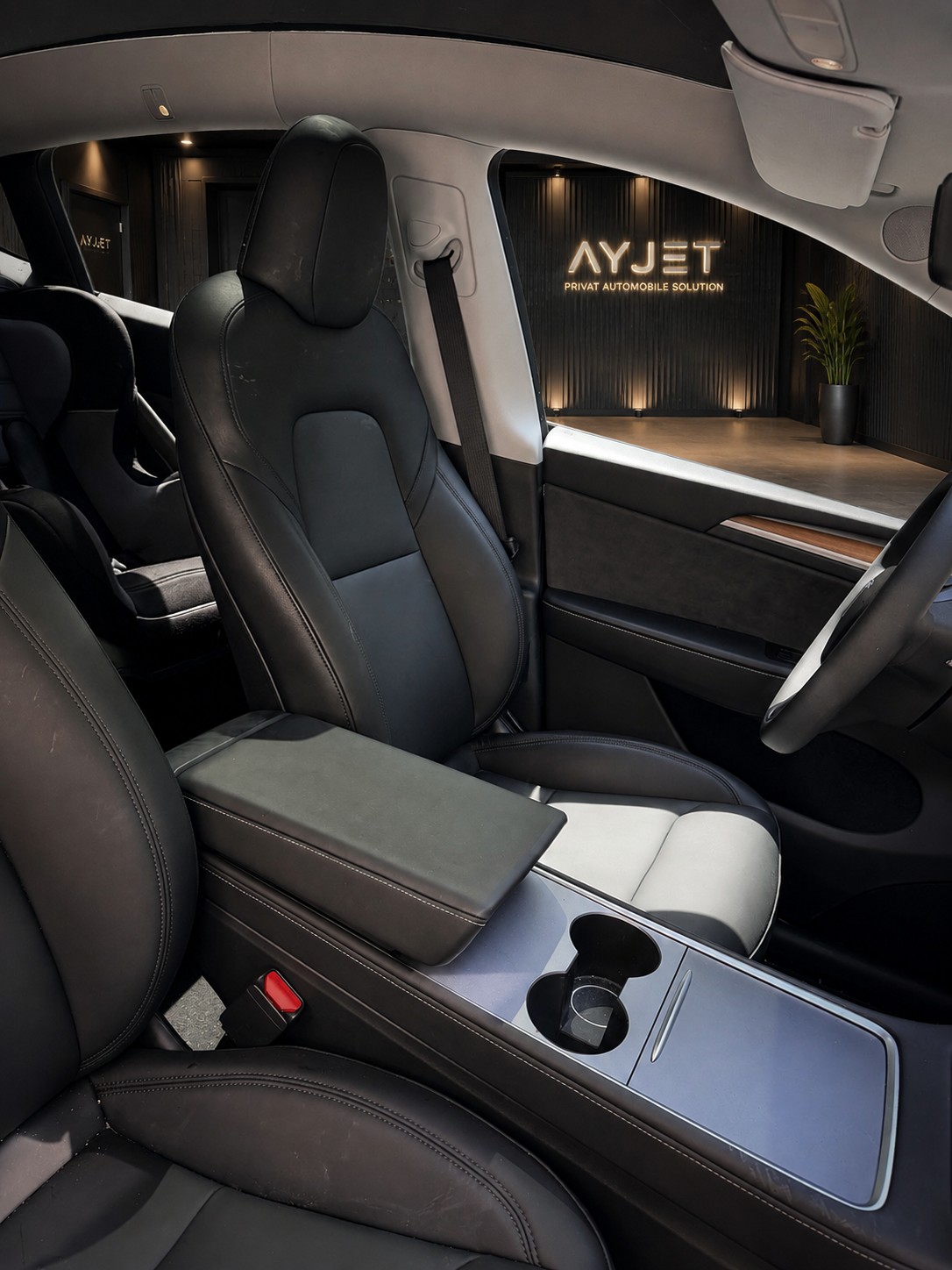 TESLA Model Y Long Range-image-3