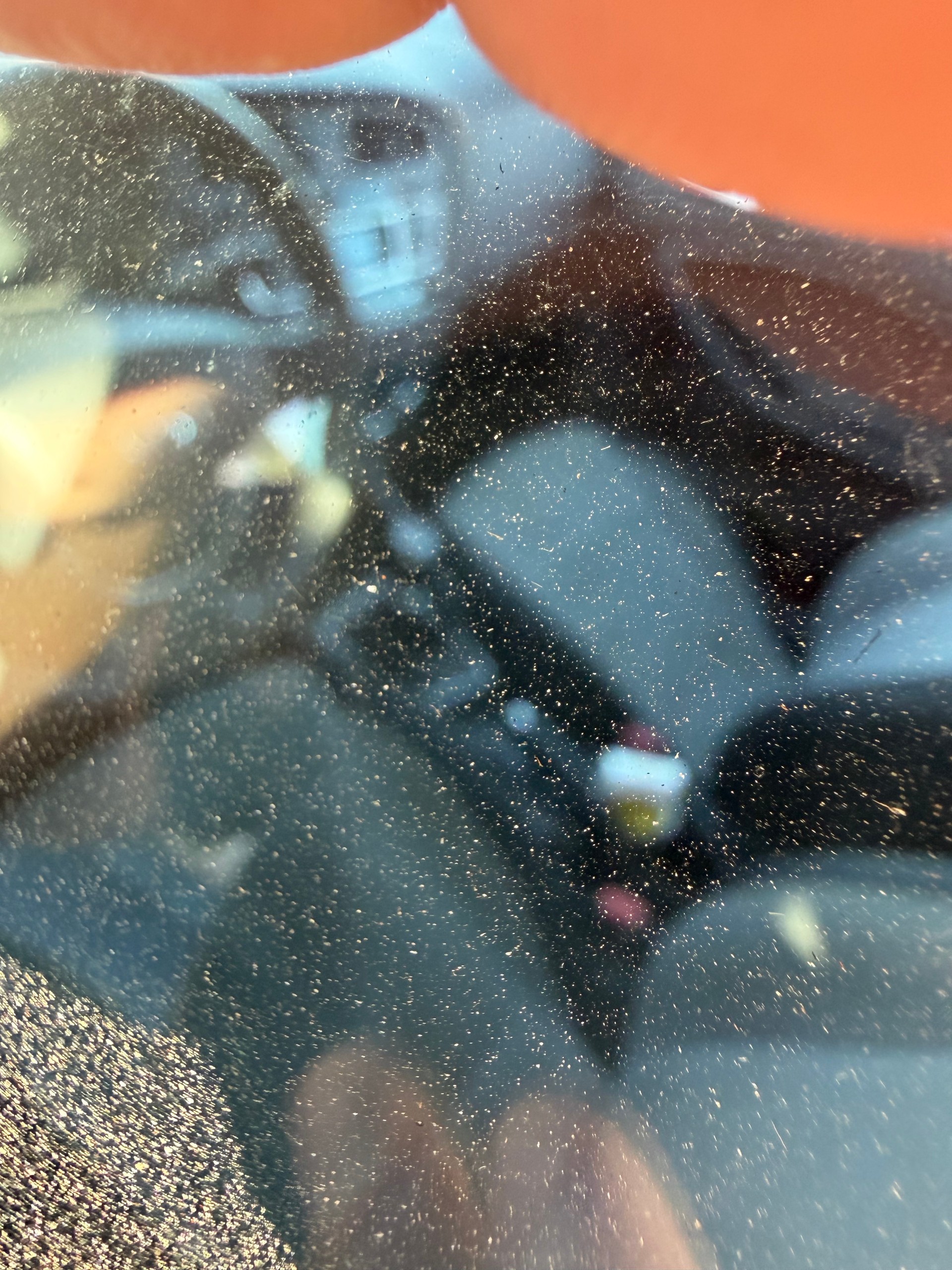 HYUNDAI i20-image-3
