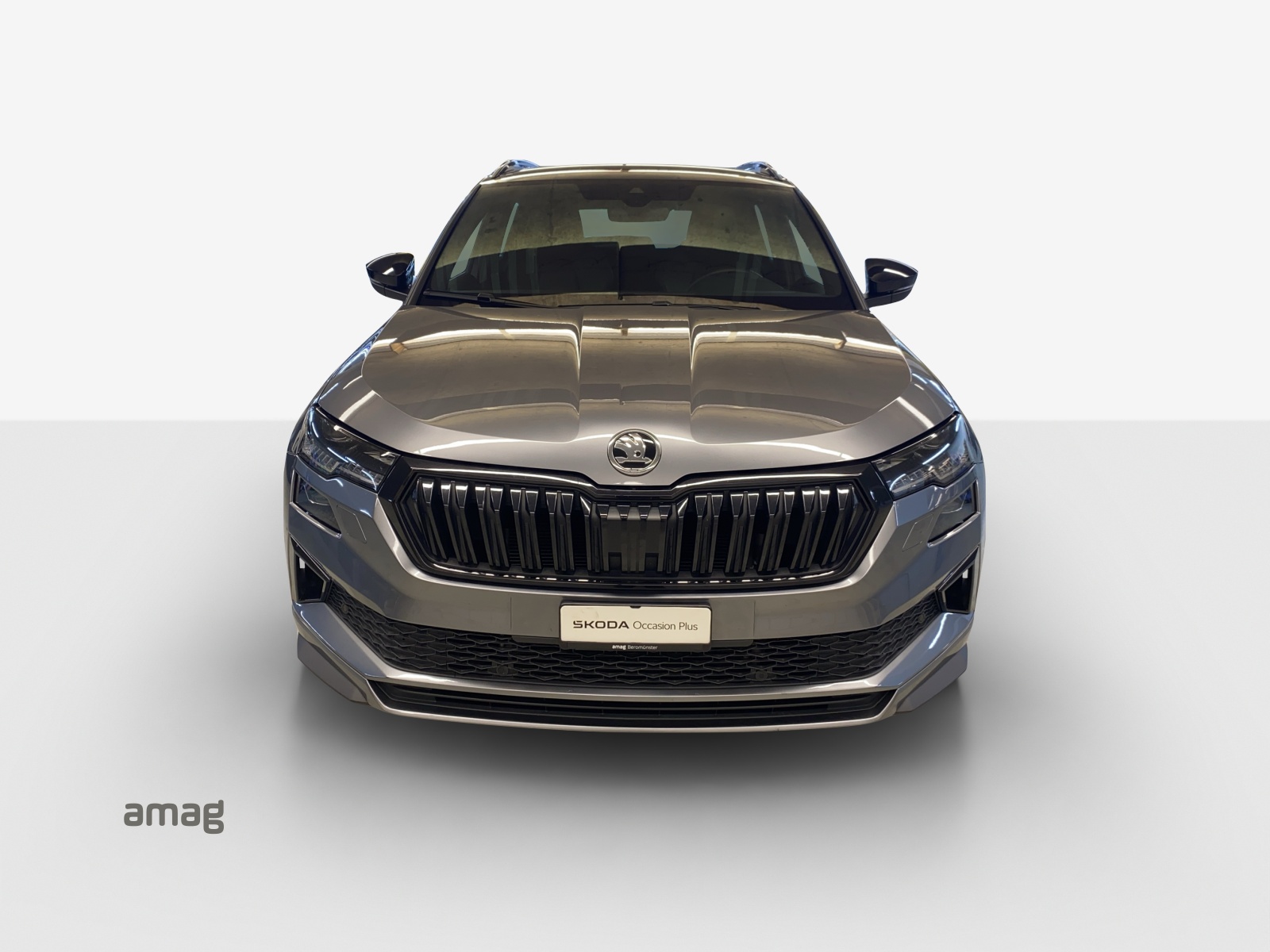 SKODA Karoq 1.5 TSI SportLine DSG-image-6