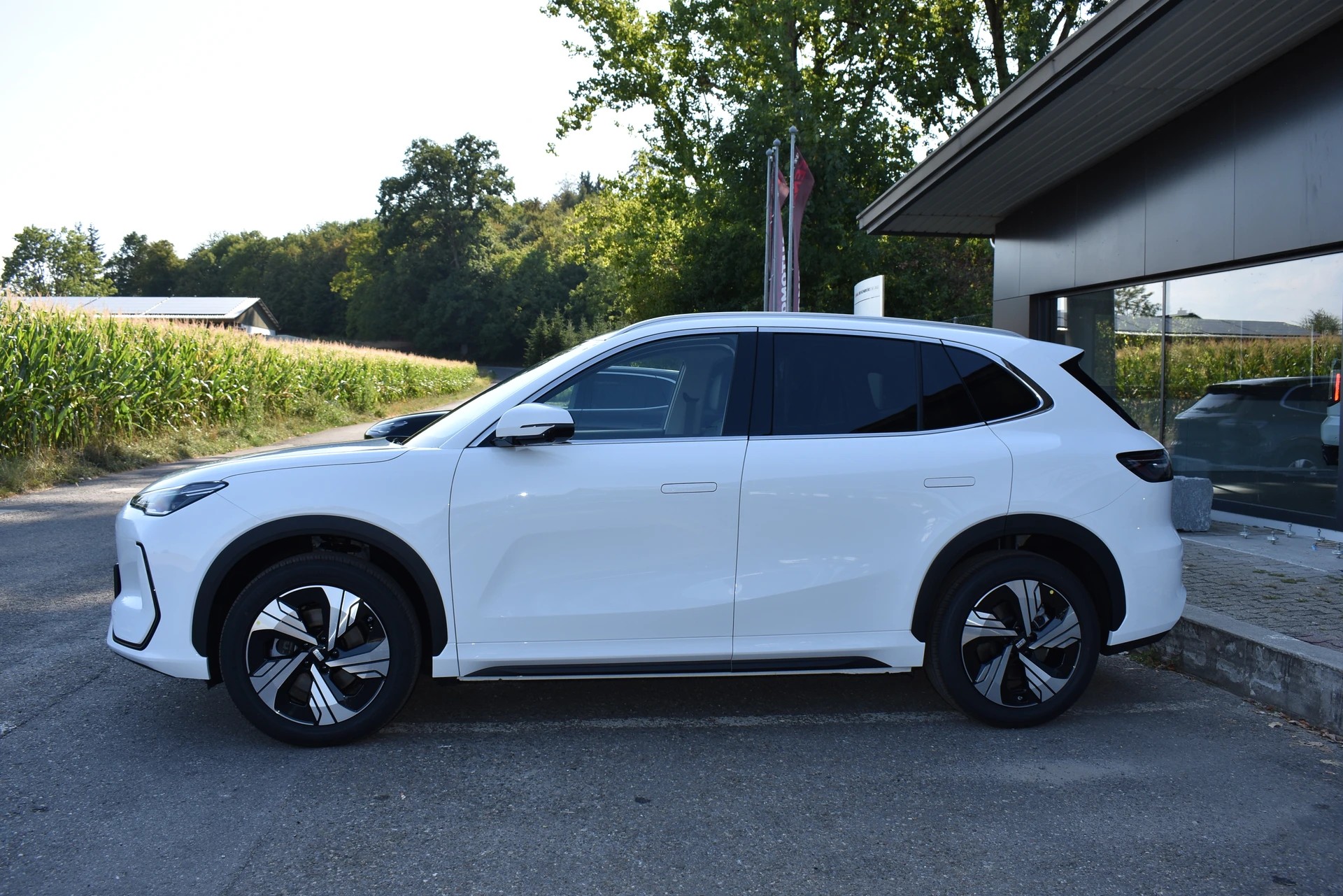 GEELY E5 Max+ Elektro-image-3