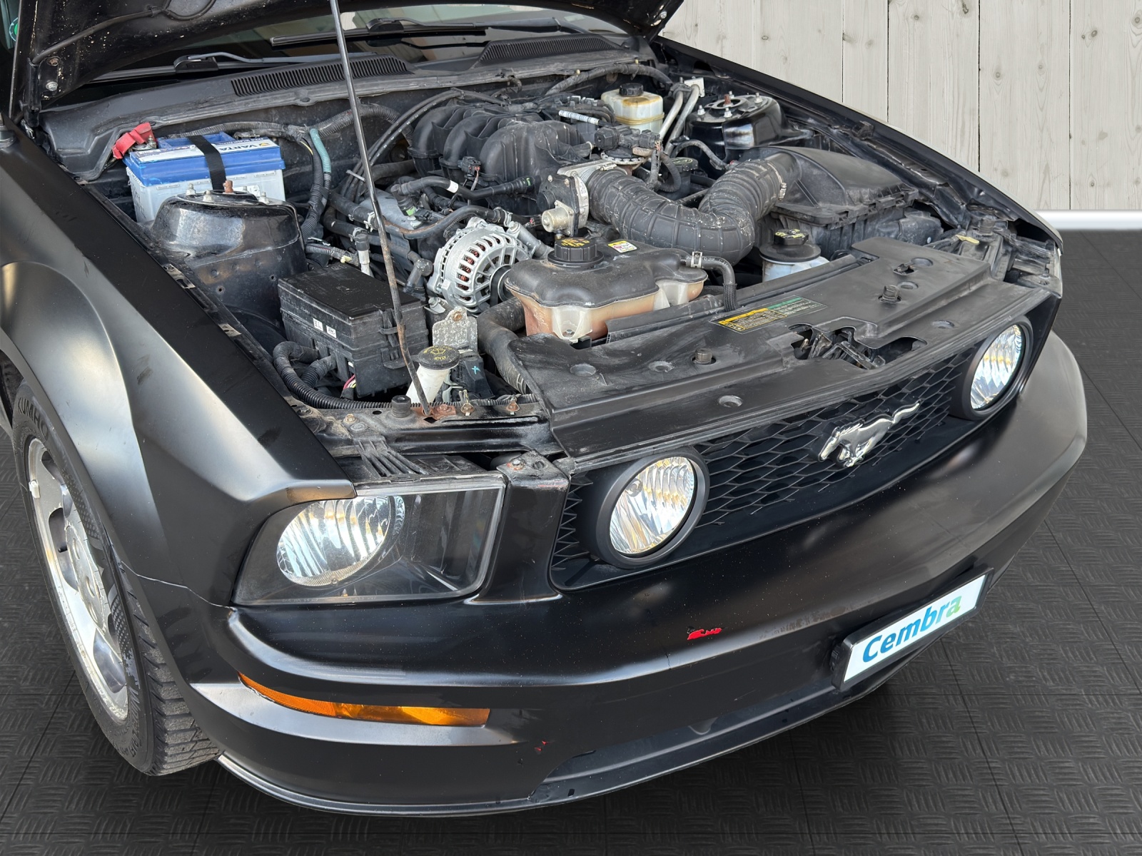 FORD Ford Mustang GT-image-15