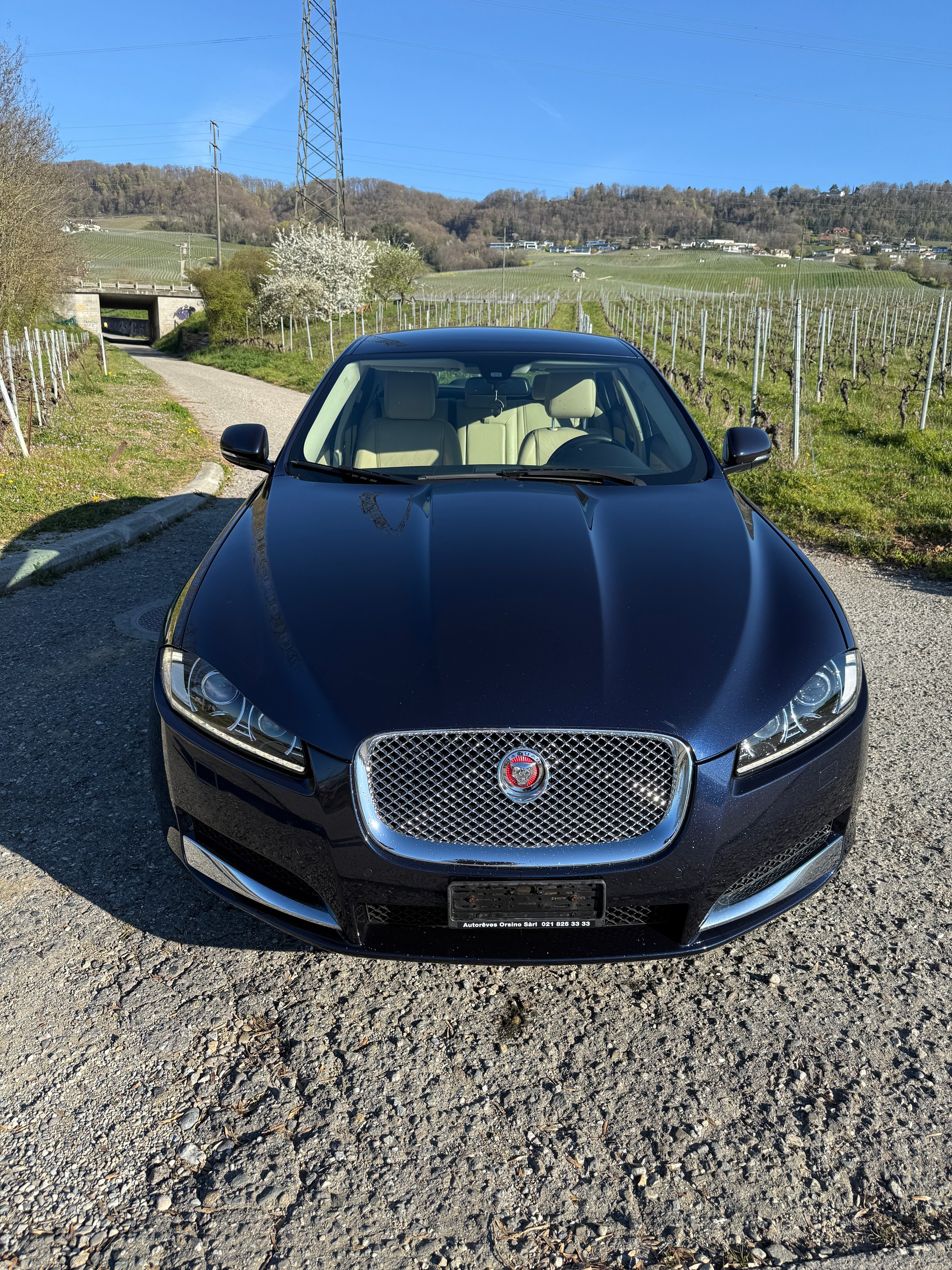 JAGUAR XF 3.0 V6 S/C 4x4-showroom-element-1