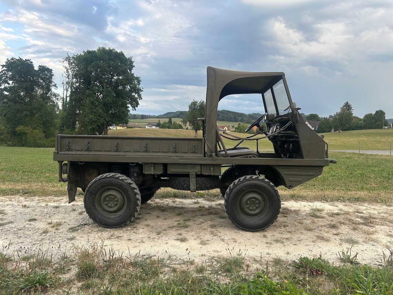STEYR Puch Haflinger-image-3
