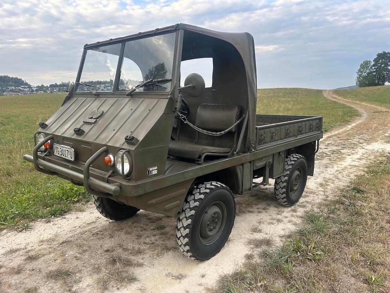 STEYR Puch Haflinger-image-0