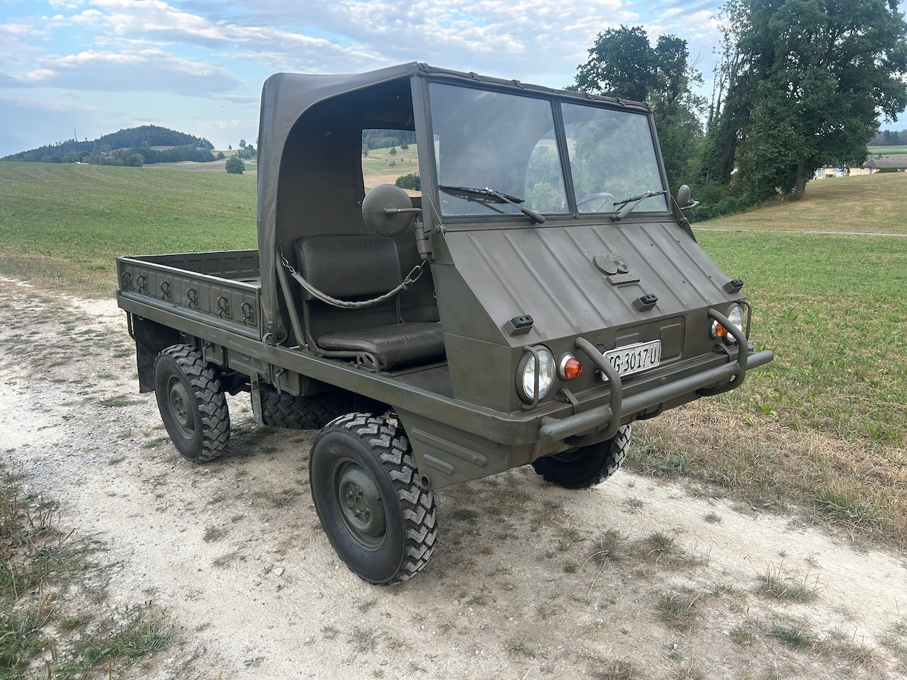 STEYR Puch Haflinger-image-2