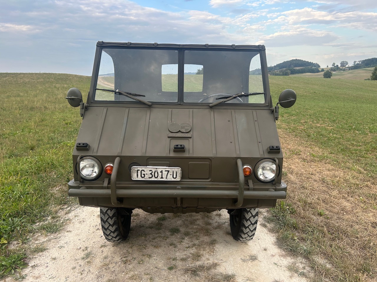 STEYR Puch Haflinger-image-1