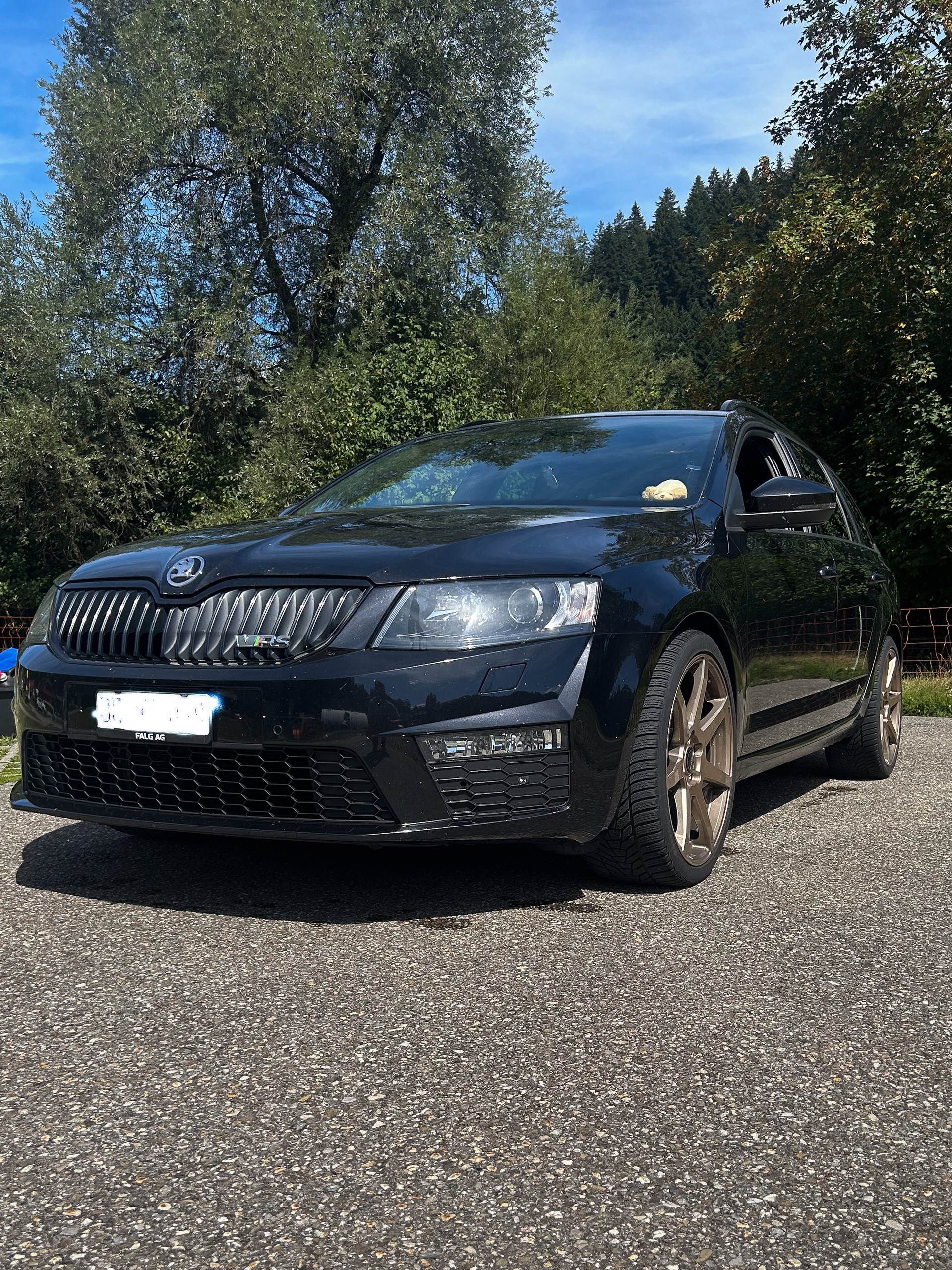 SKODA Rs-image-0