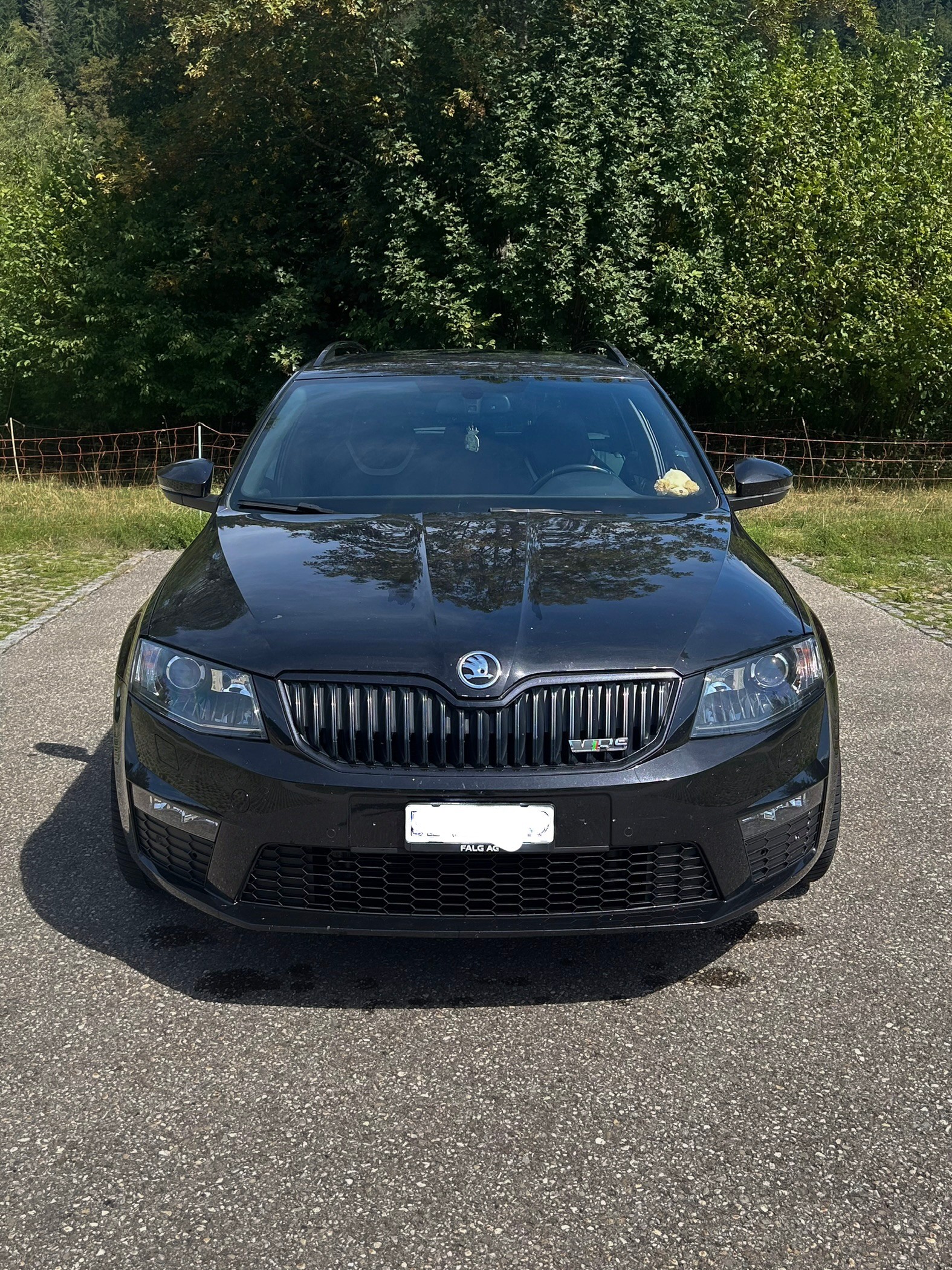 SKODA Rs-image-2