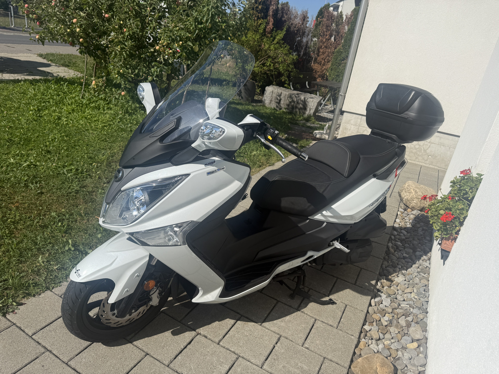 SYM GTS 300 S&S-showroom-element-2