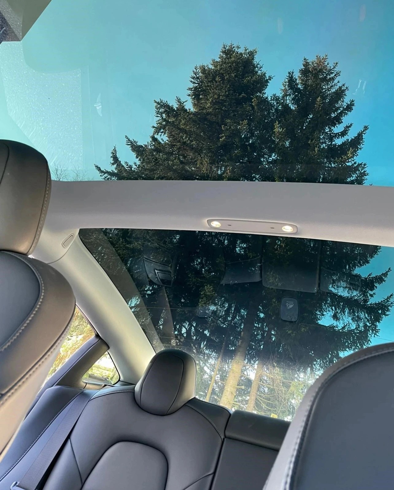 TESLA MODEL 3 Performance 530Km Dual Motor AWD CH-Auto 60% unter Neupreis-image-8