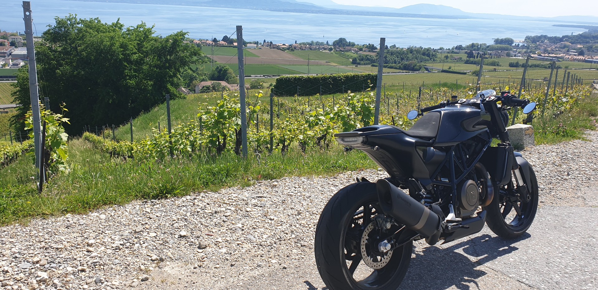 HUSQVARNA Vitpilen 701-image-2