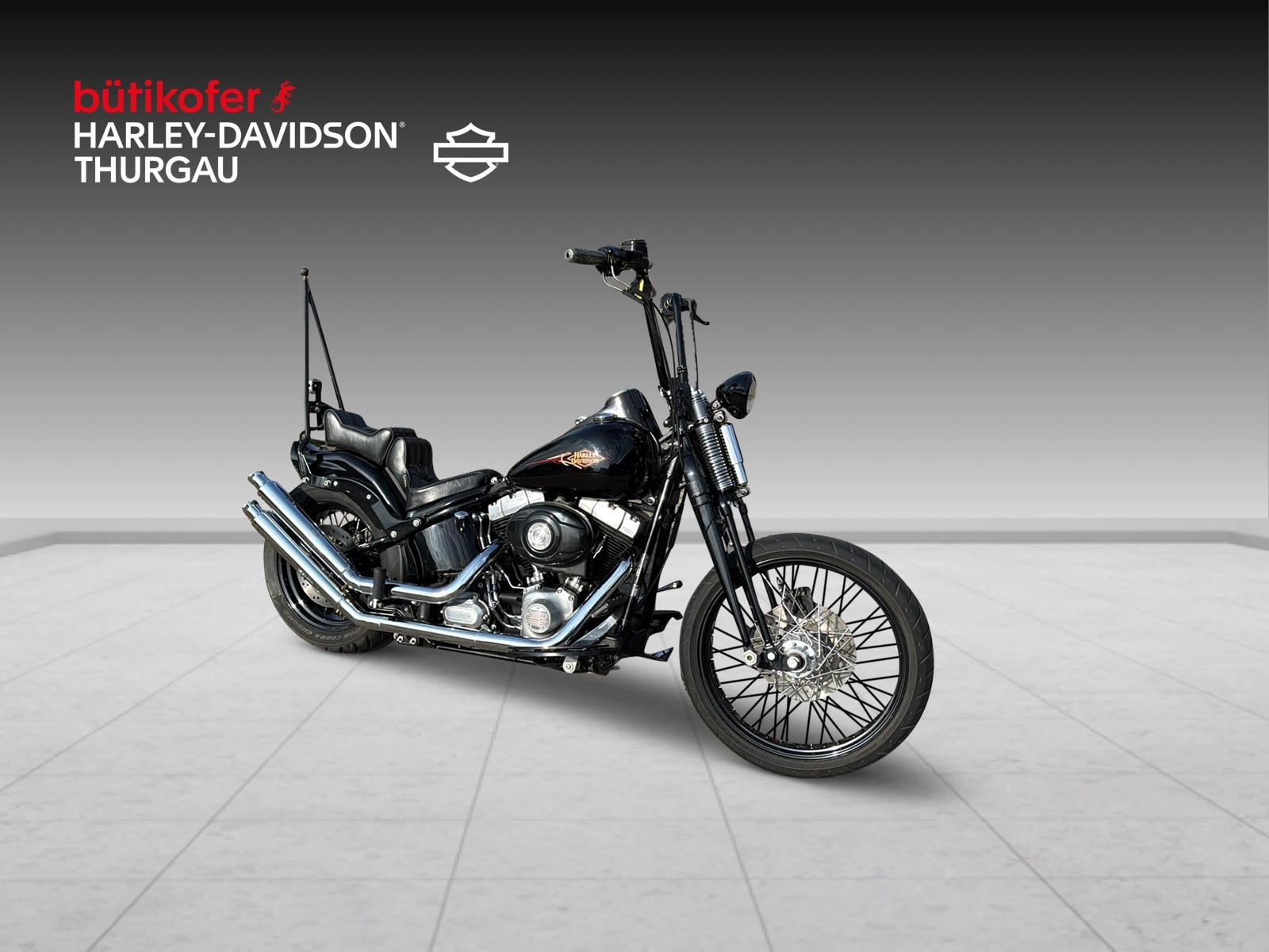 HARLEY-DAVIDSON FLSTSB Cross Bones