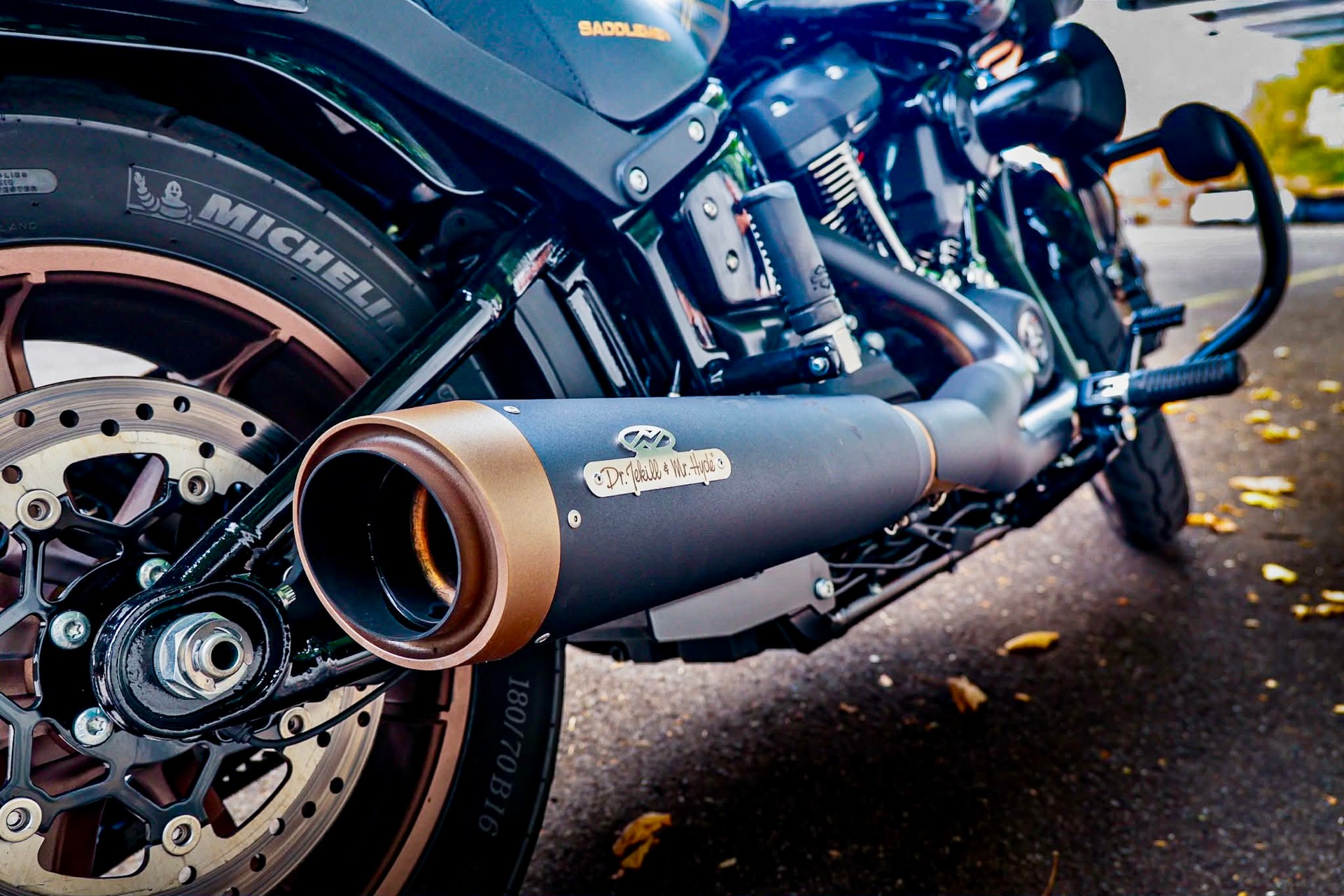 HARLEY-DAVIDSON FXLRS Low Rider S 117-image-4