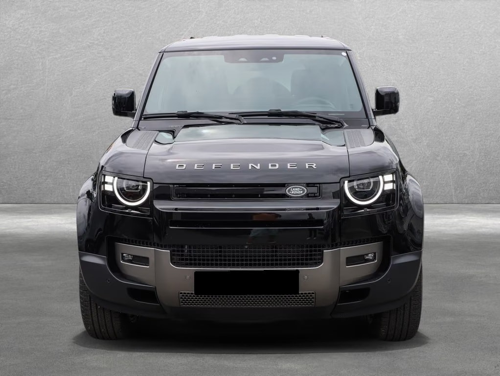 LAND ROVER 110 D200 S 19" AHK Fahrassistenz Winter-image-1