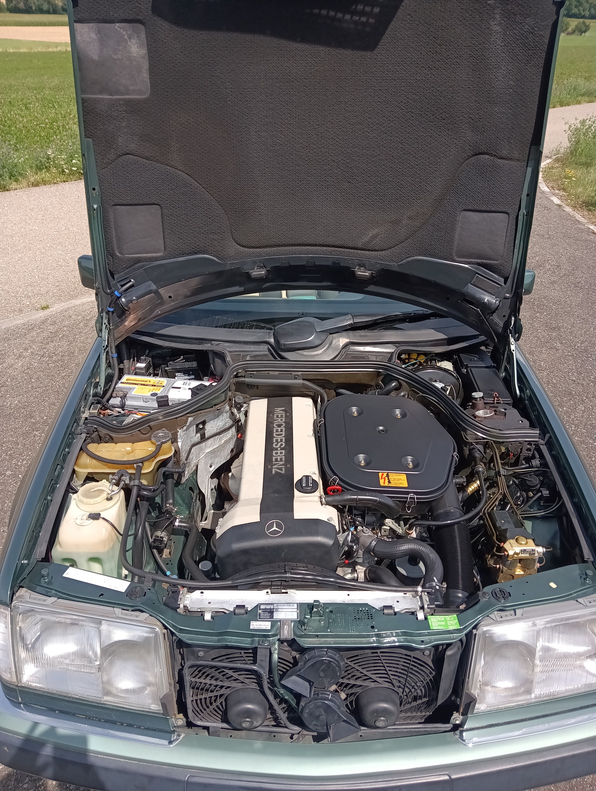 MERCEDES-BENZ 300 CE-24 Cabrio-image-5